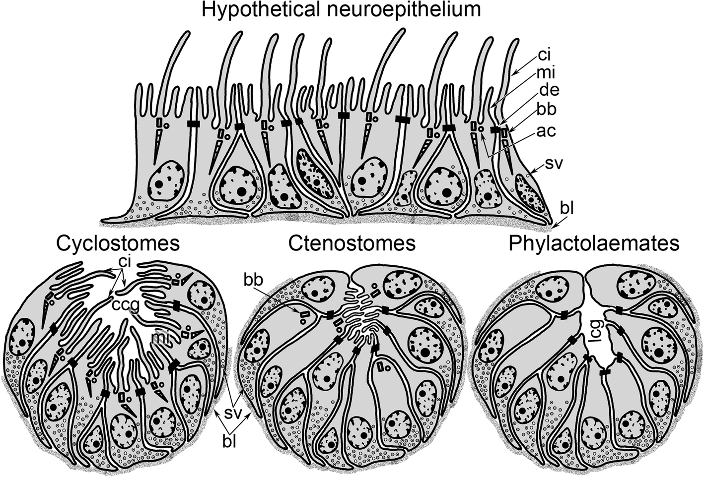 Fig. 10