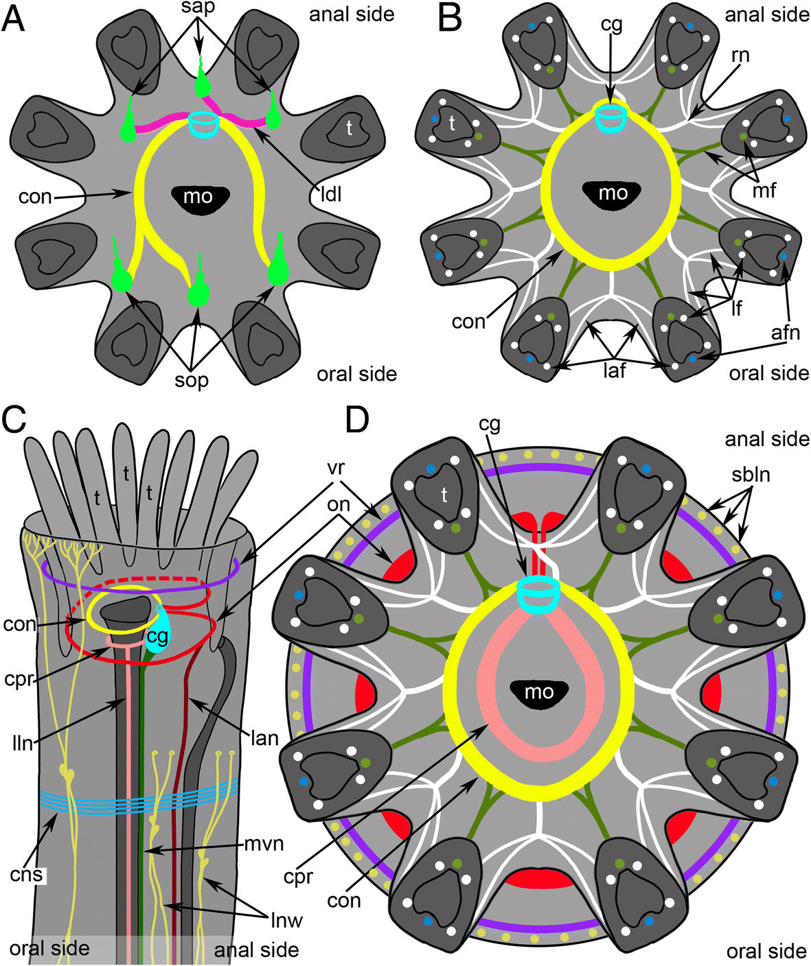 Fig. 6