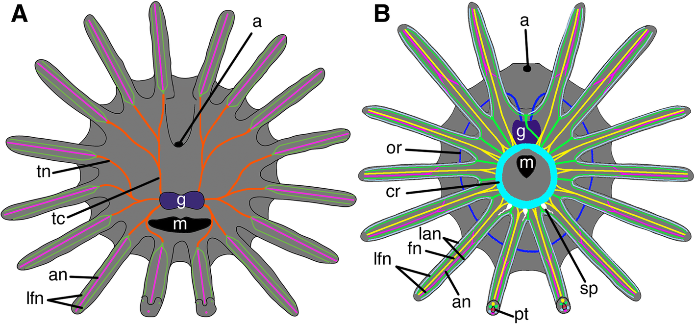 Fig. 8