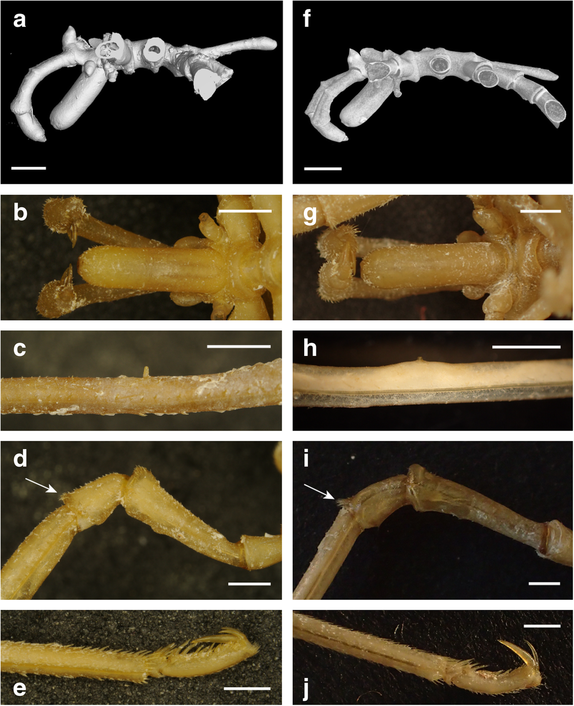 Fig. 9