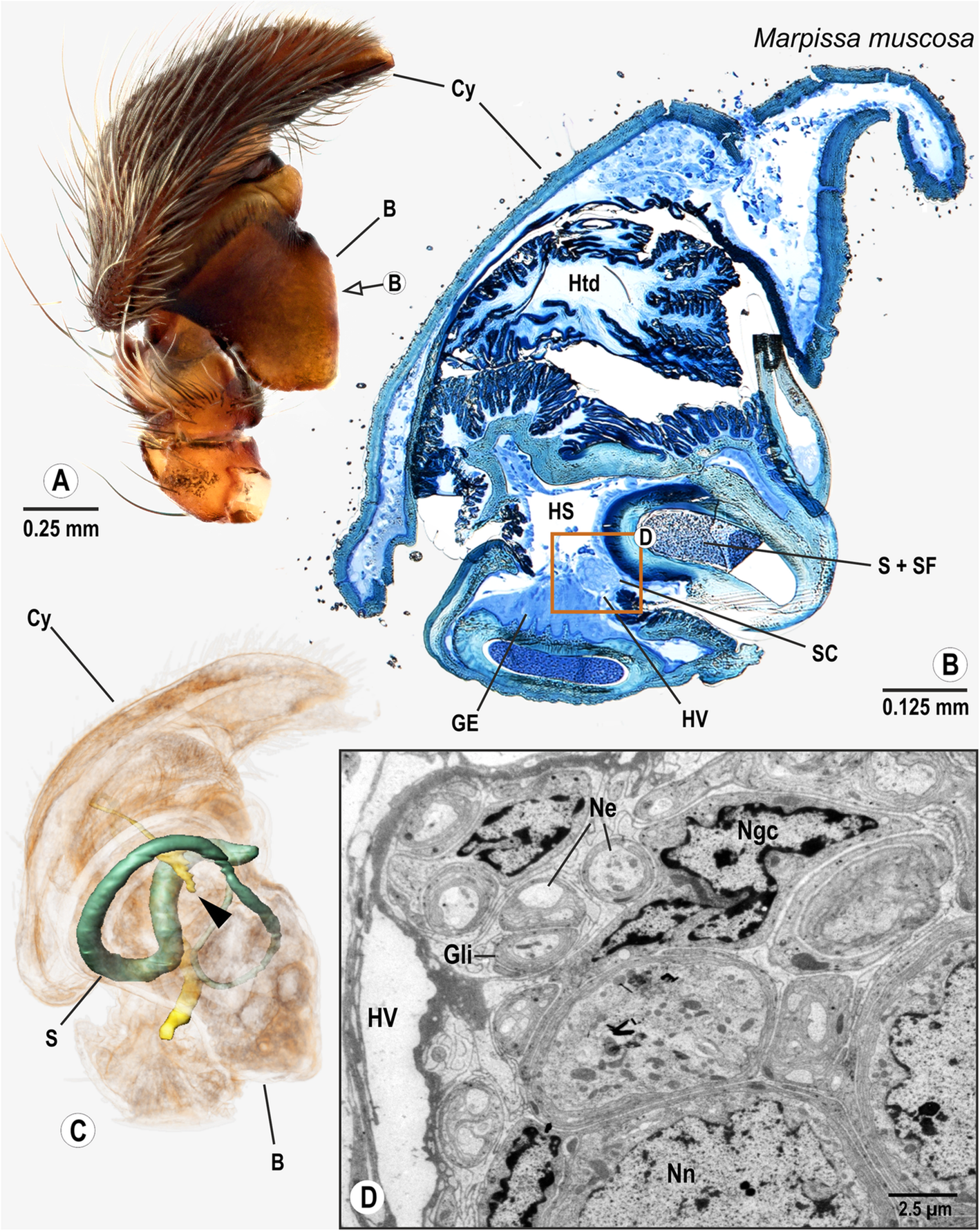 Fig. 9