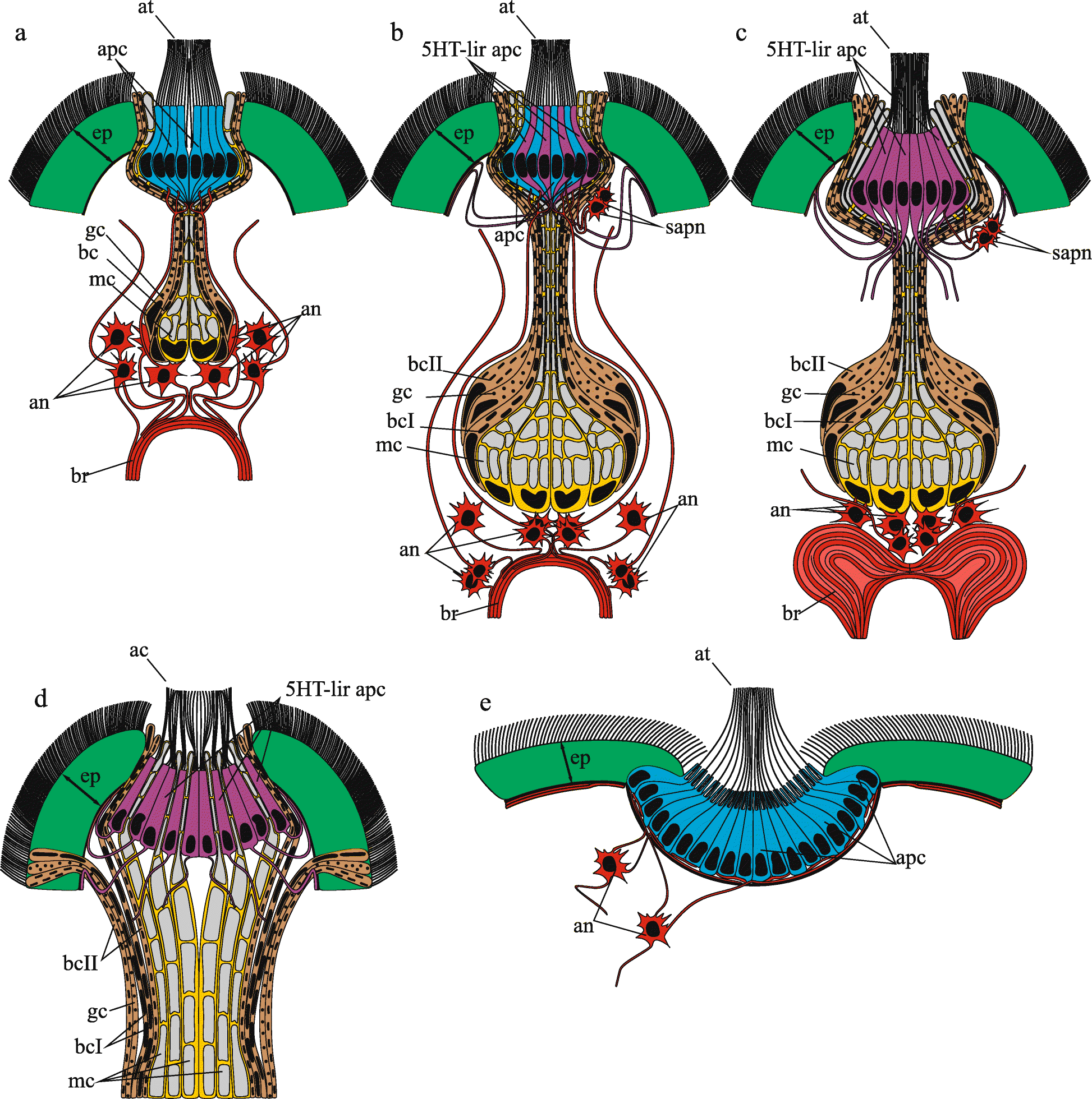 Fig. 2