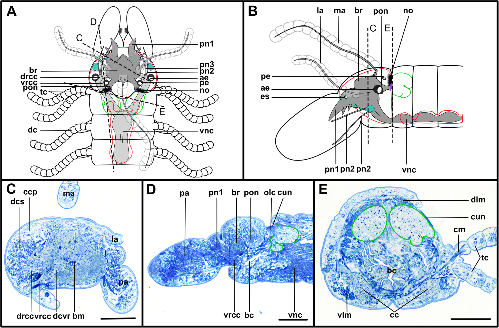 Fig. 10