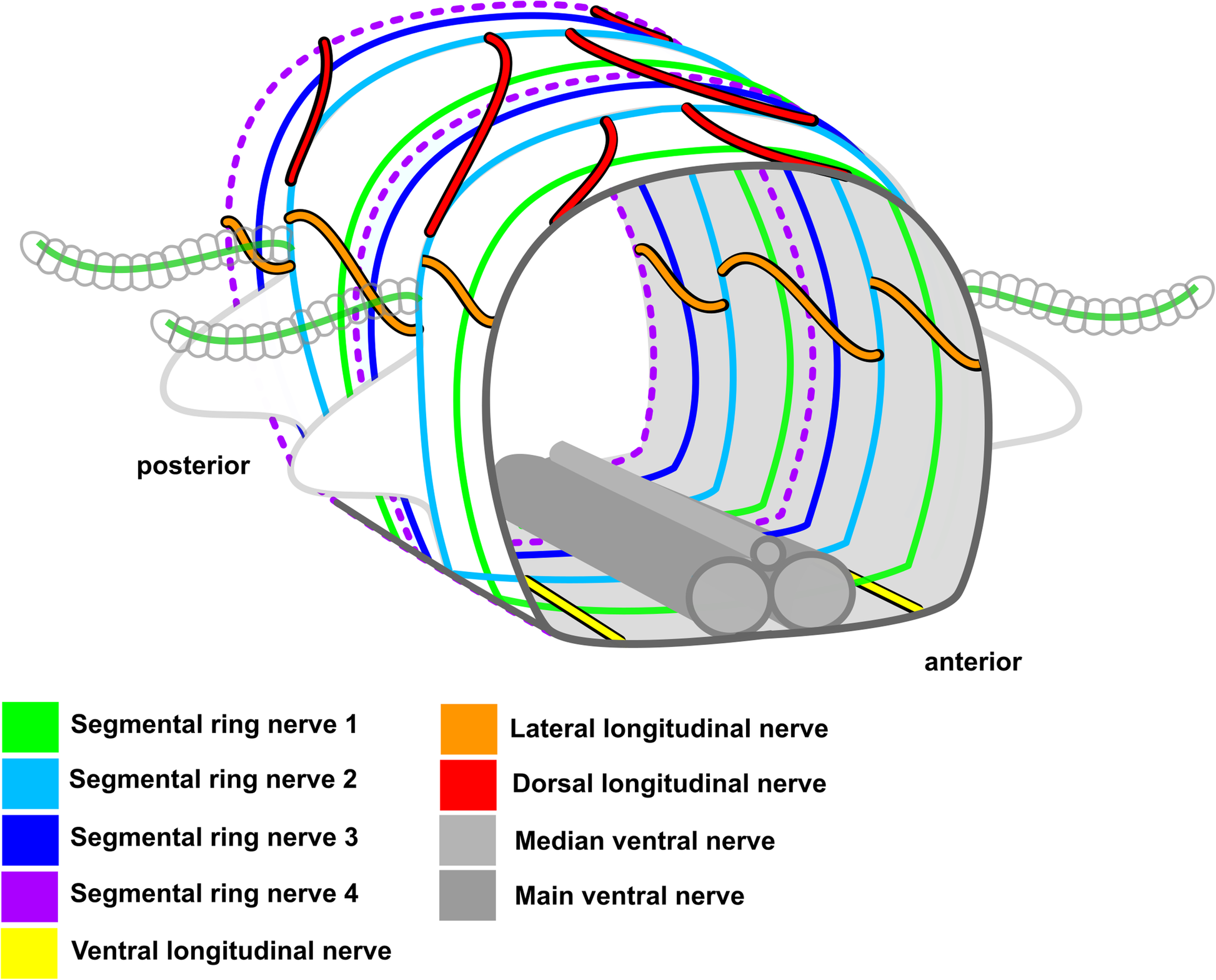 Fig. 23