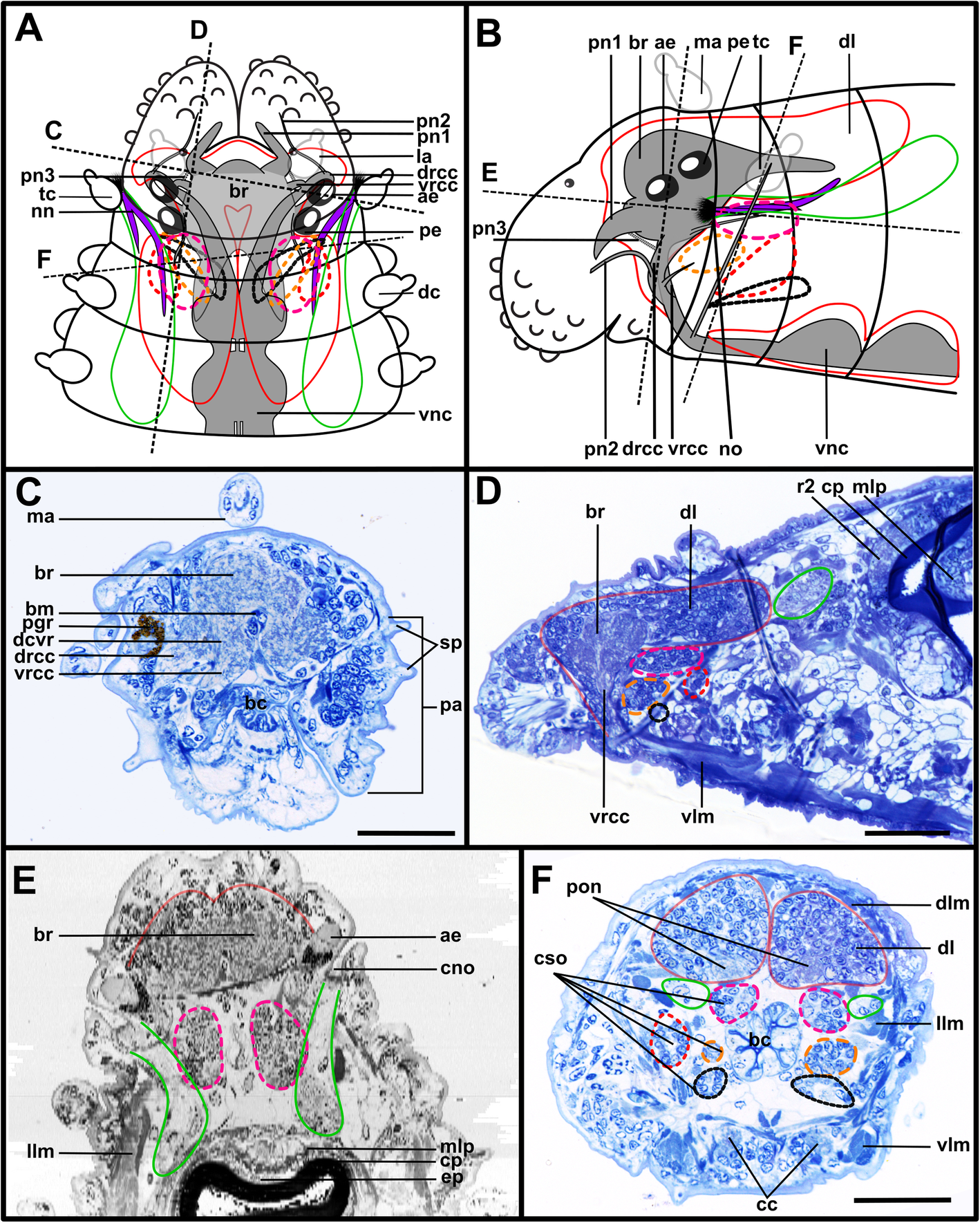 Fig. 2