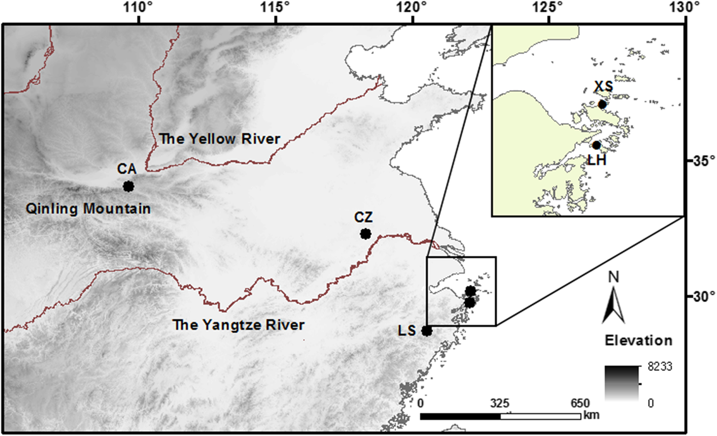 Fig. 2