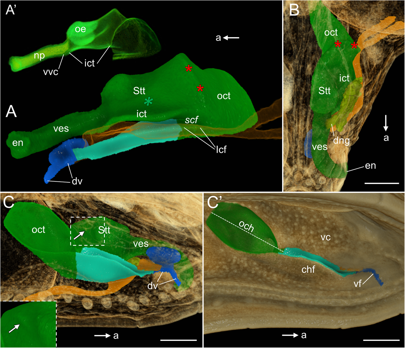 Fig. 10