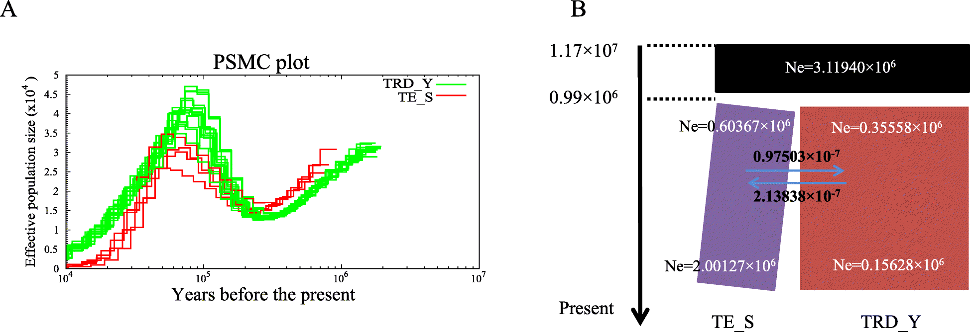 Fig. 2