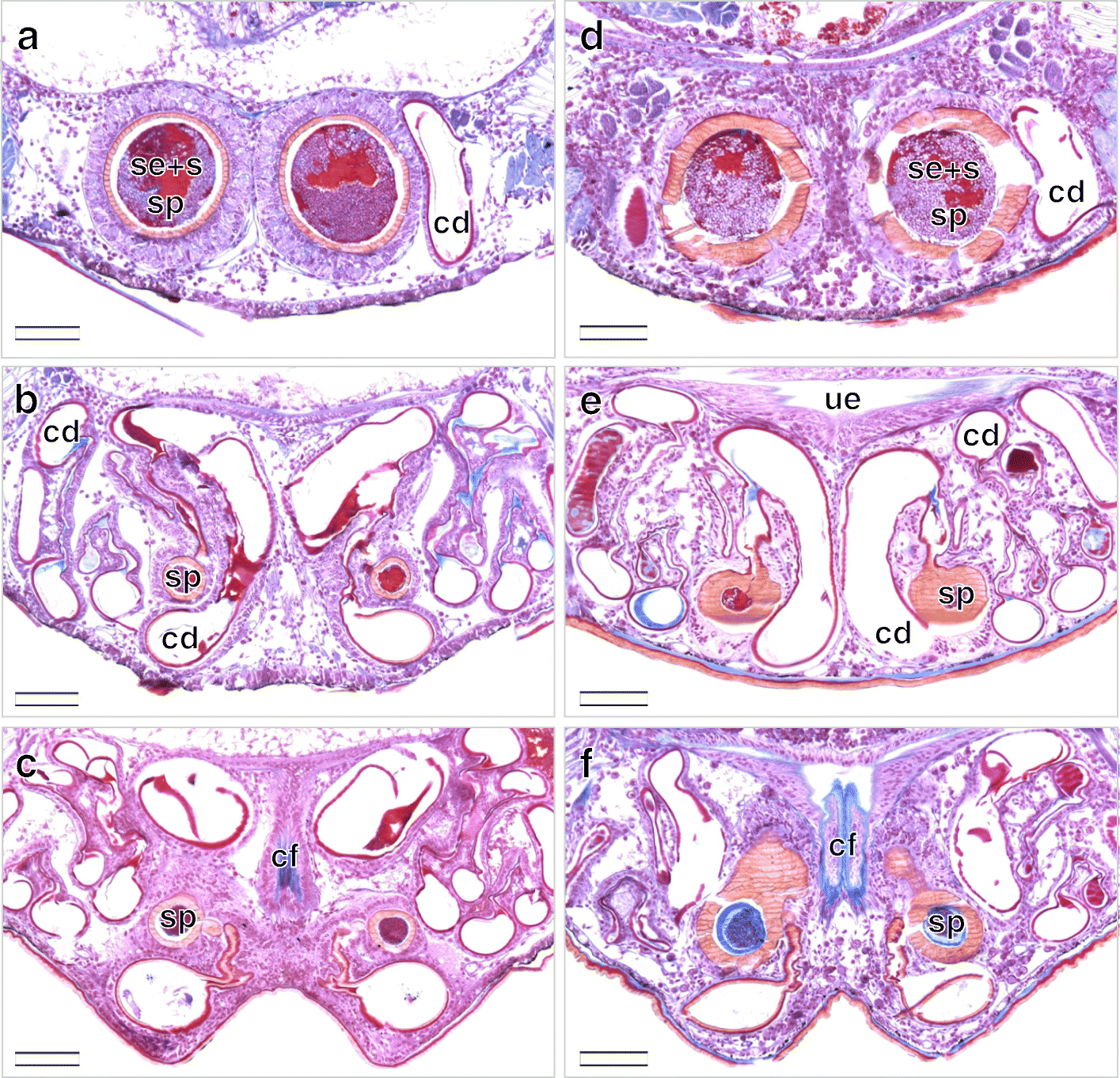 Fig. 8