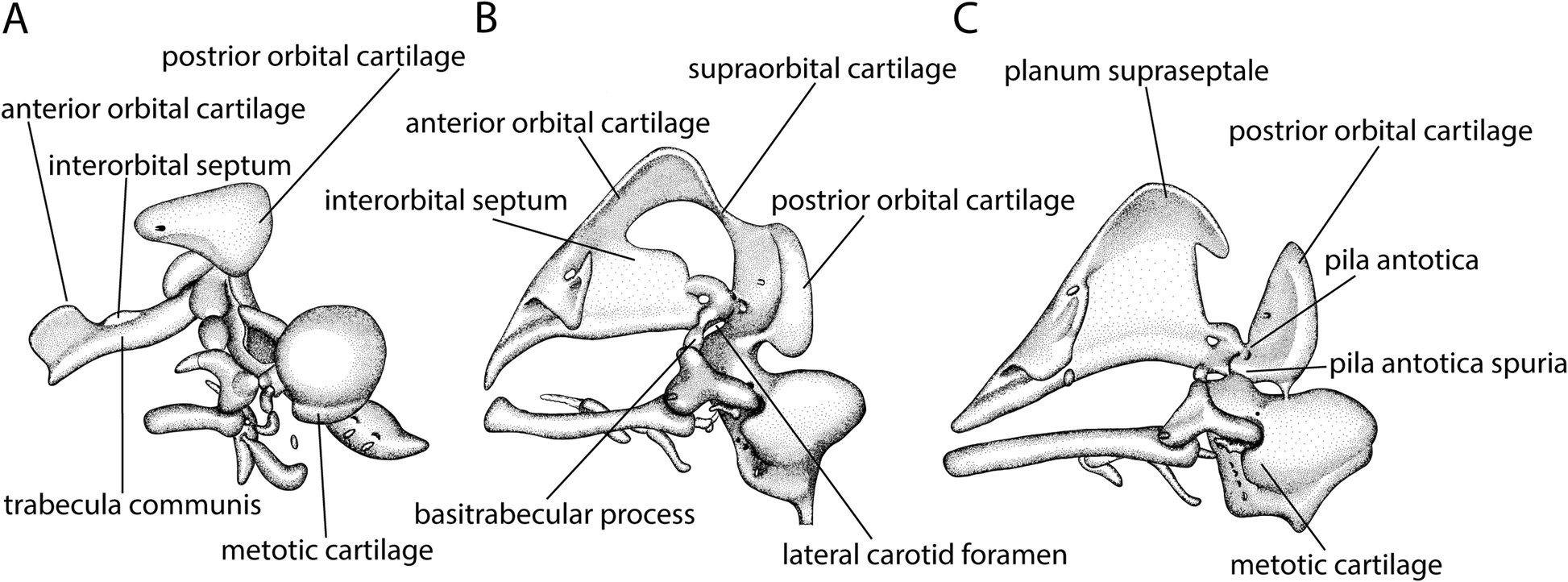 Fig. 10