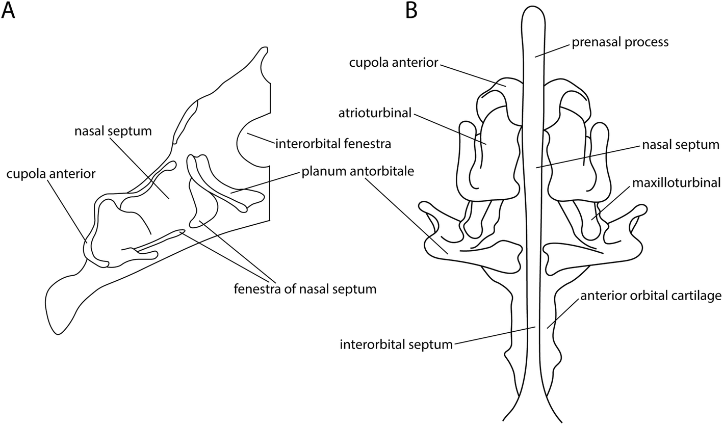 Fig. 11