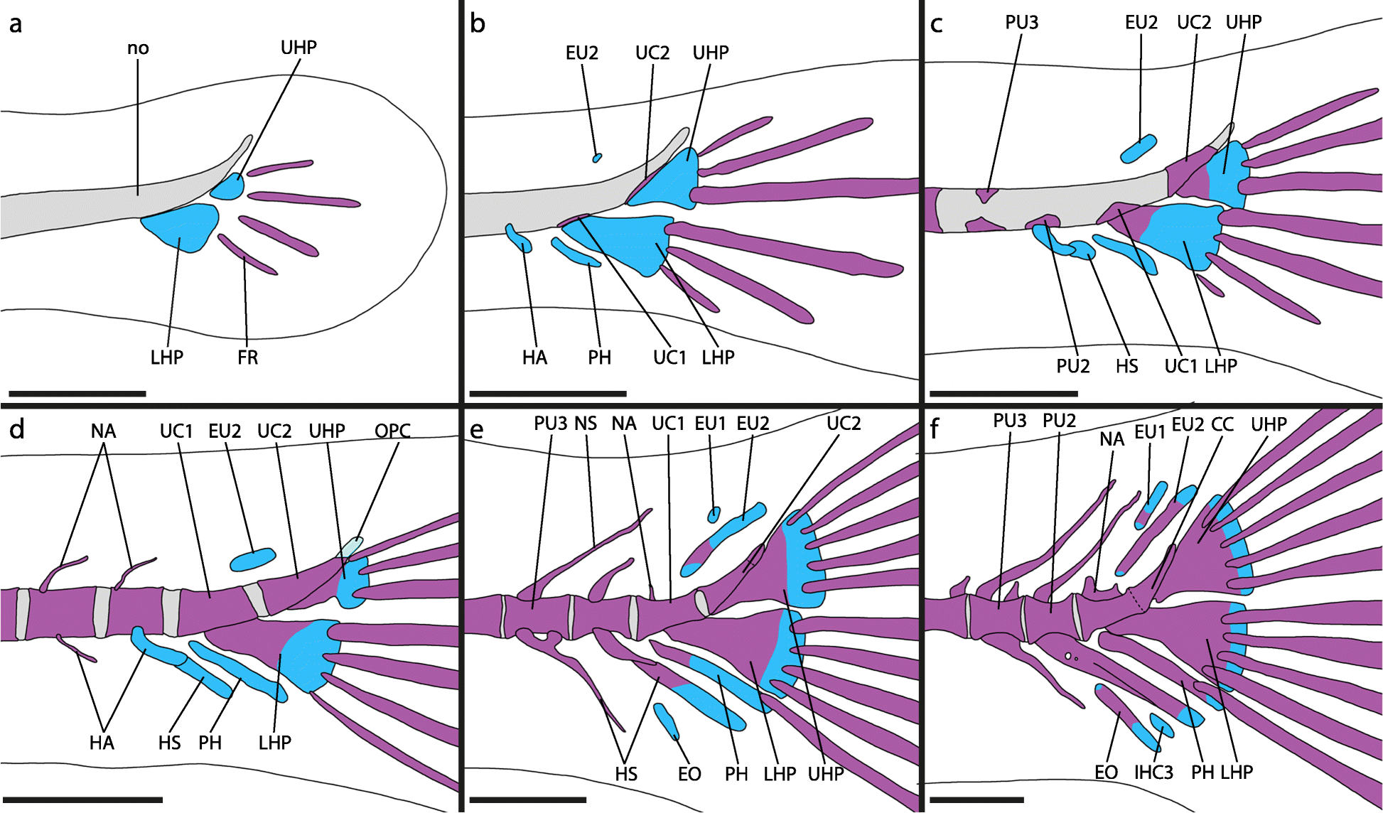 Fig. 5