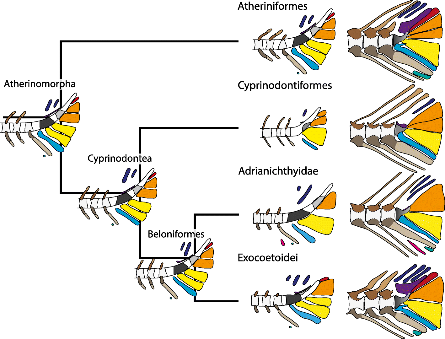 Fig. 9