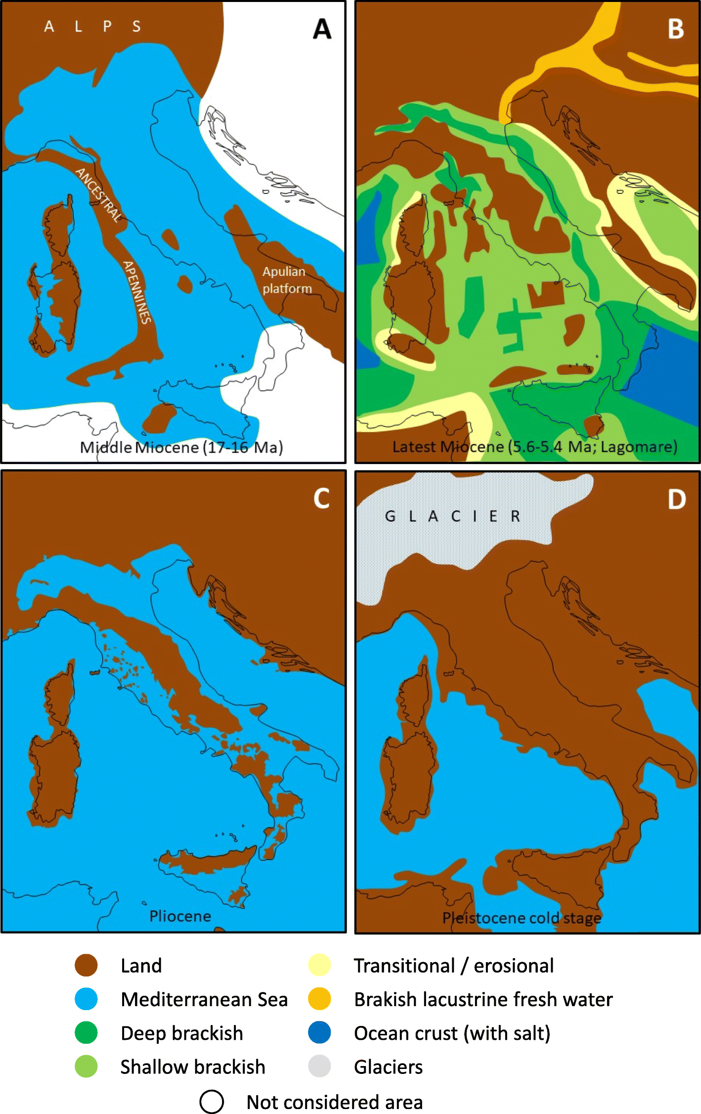 Fig. 1