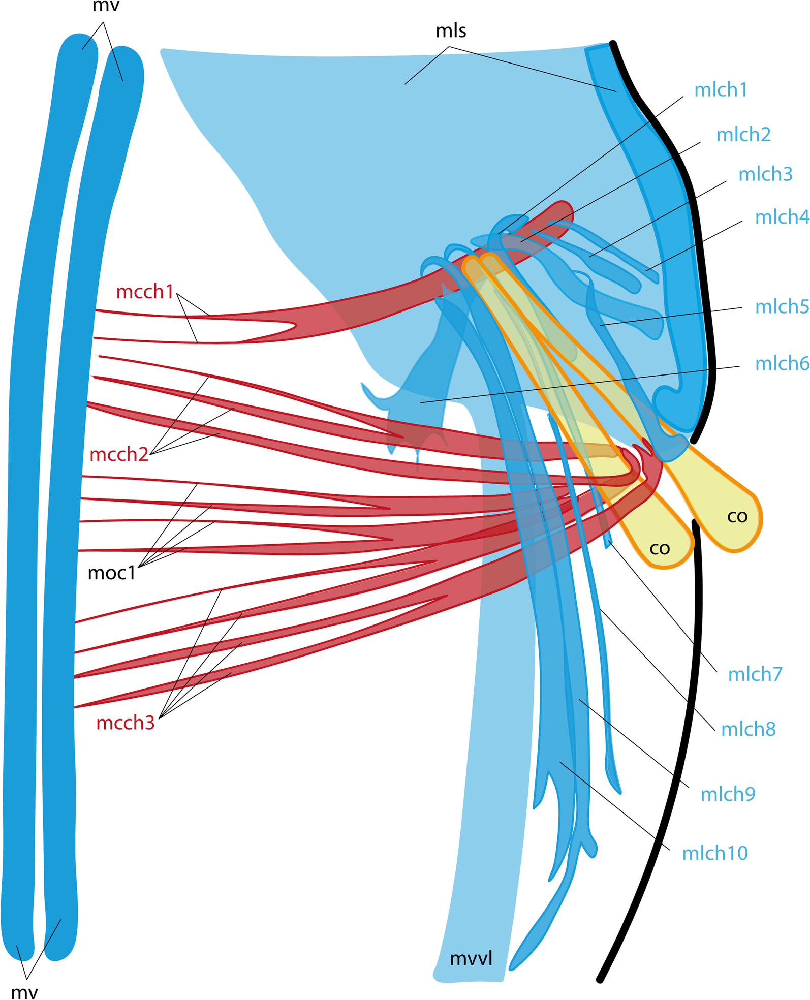 Fig. 11