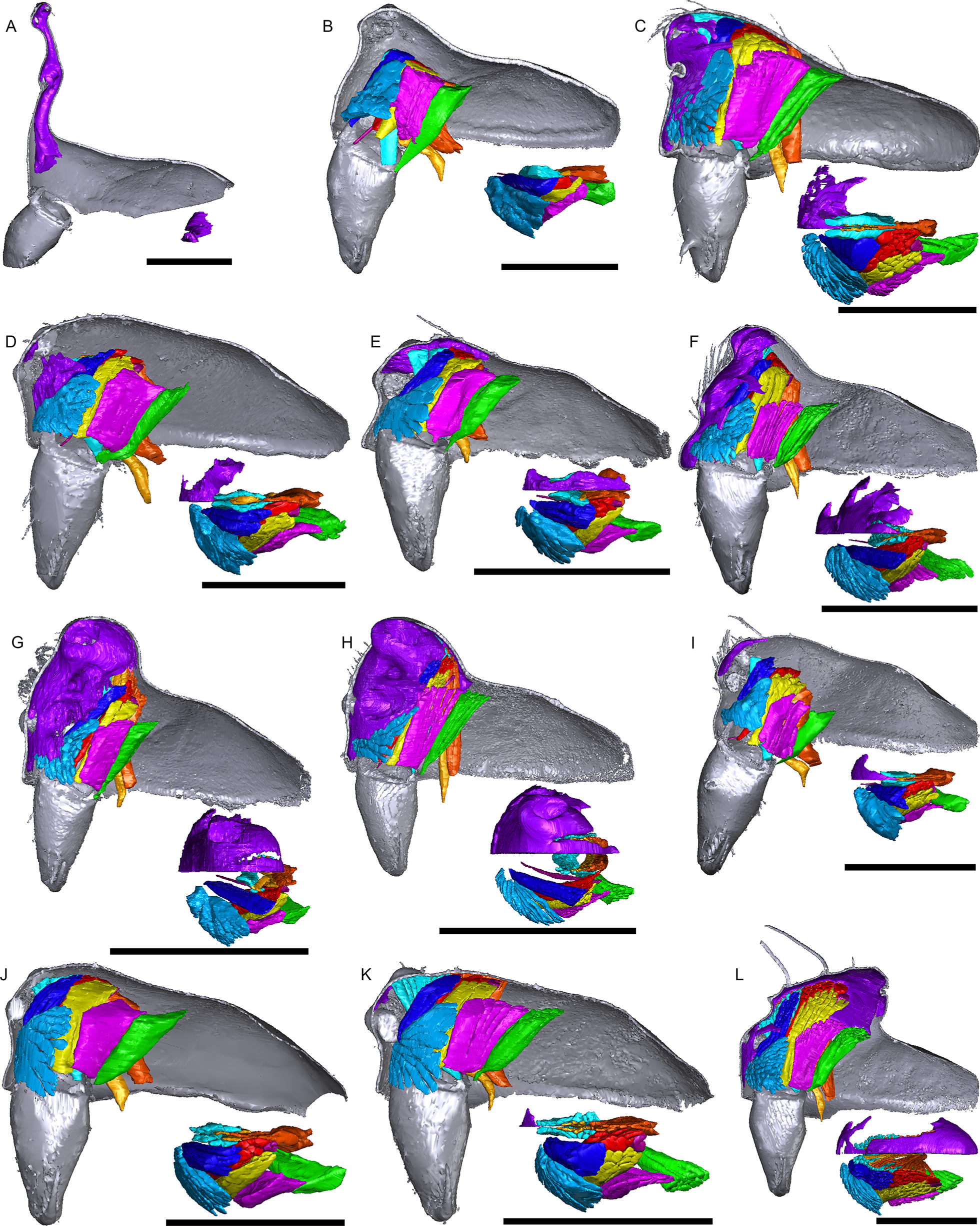 Fig. 11