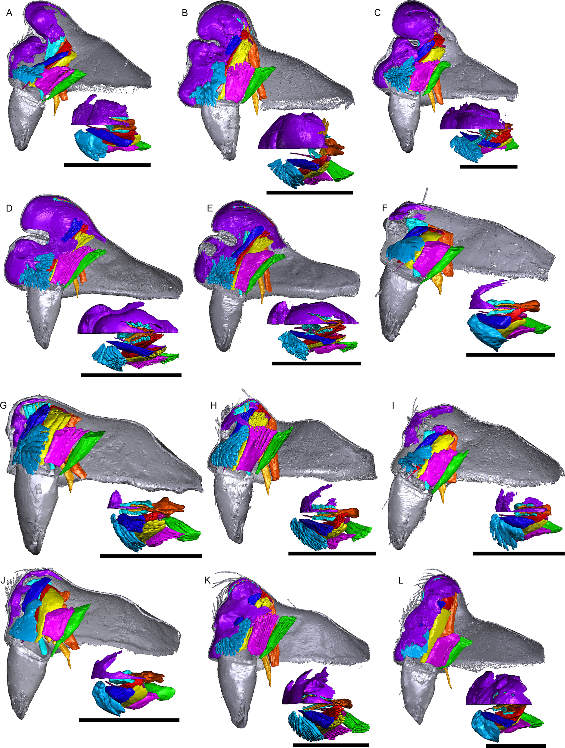 Fig. 13