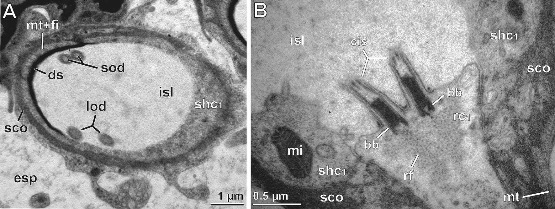 Fig. 10