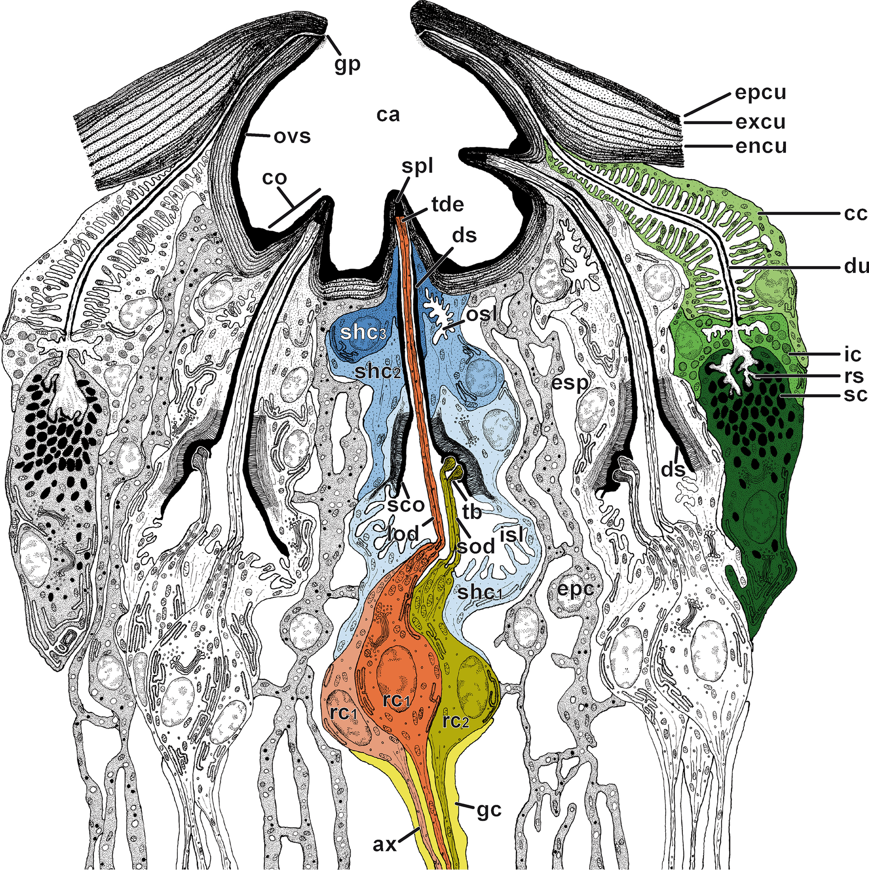 Fig. 3