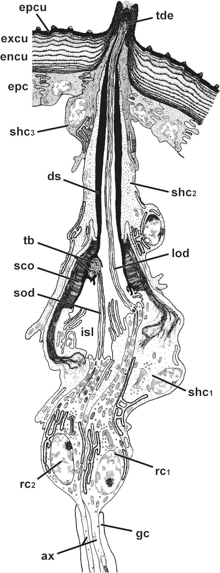 Fig. 8