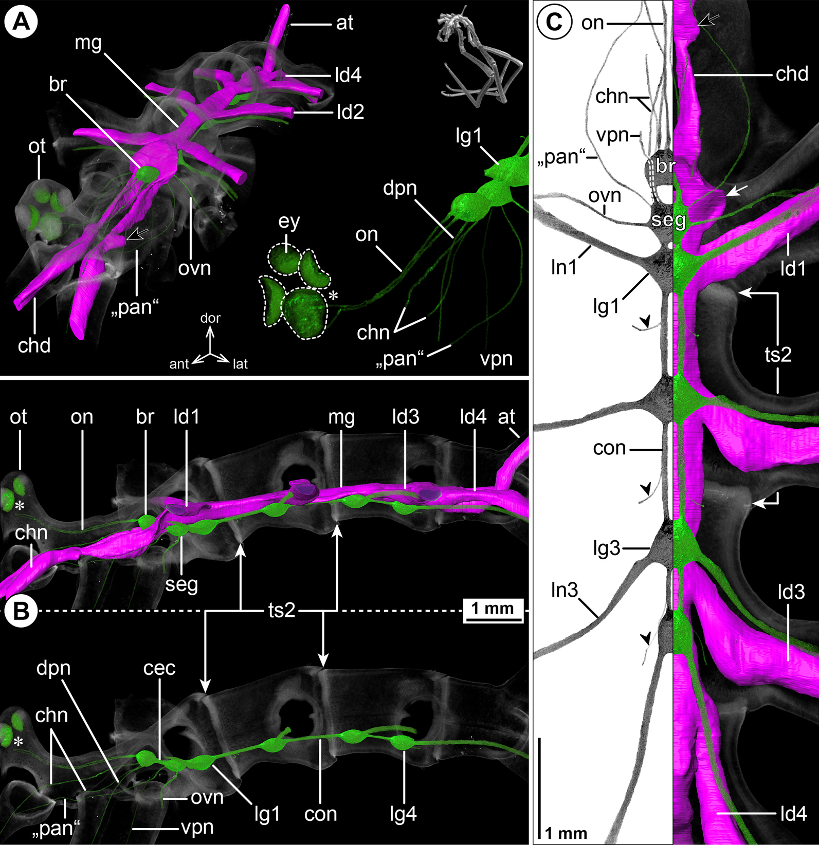 Fig. 8