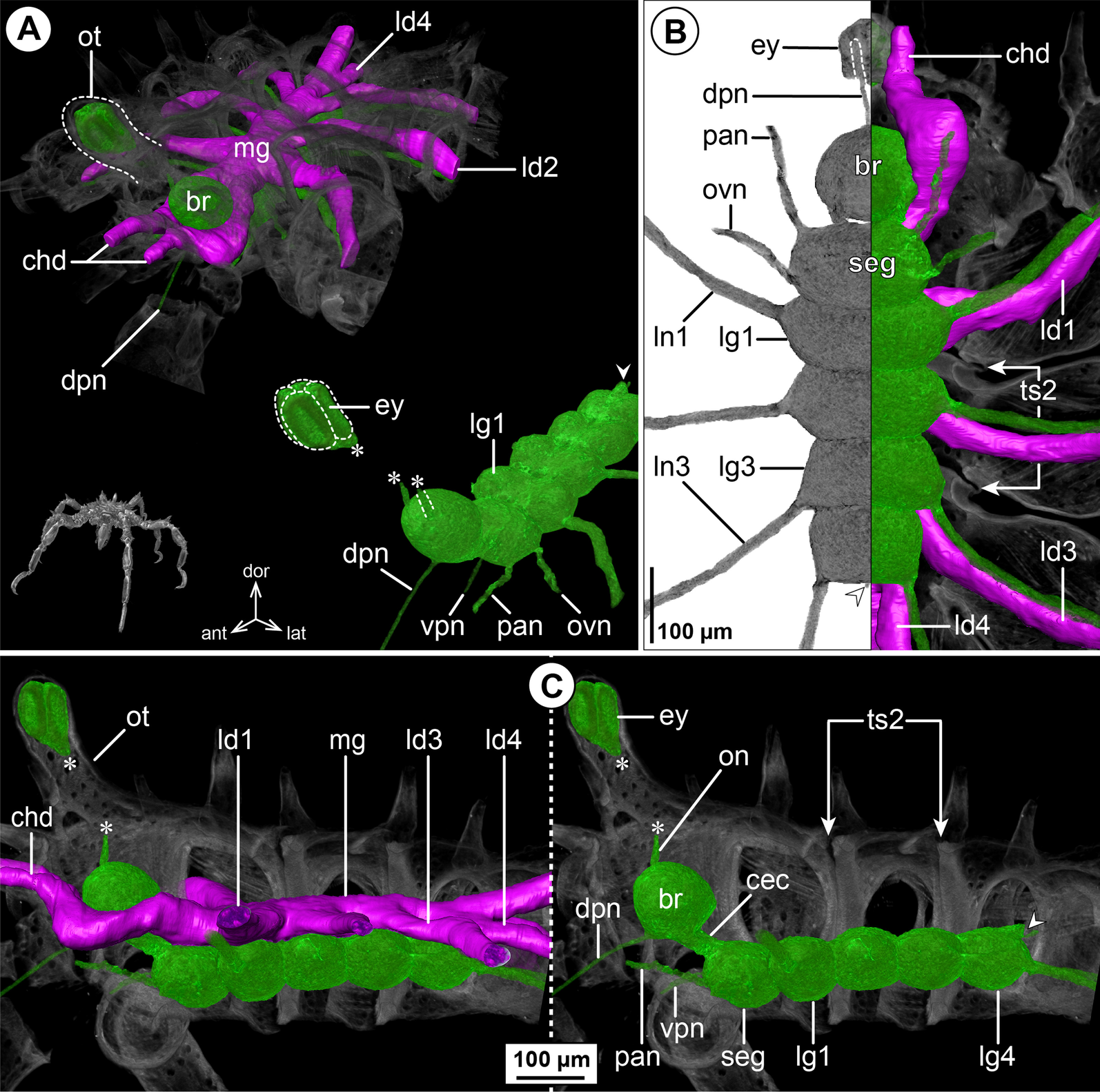 Fig. 9