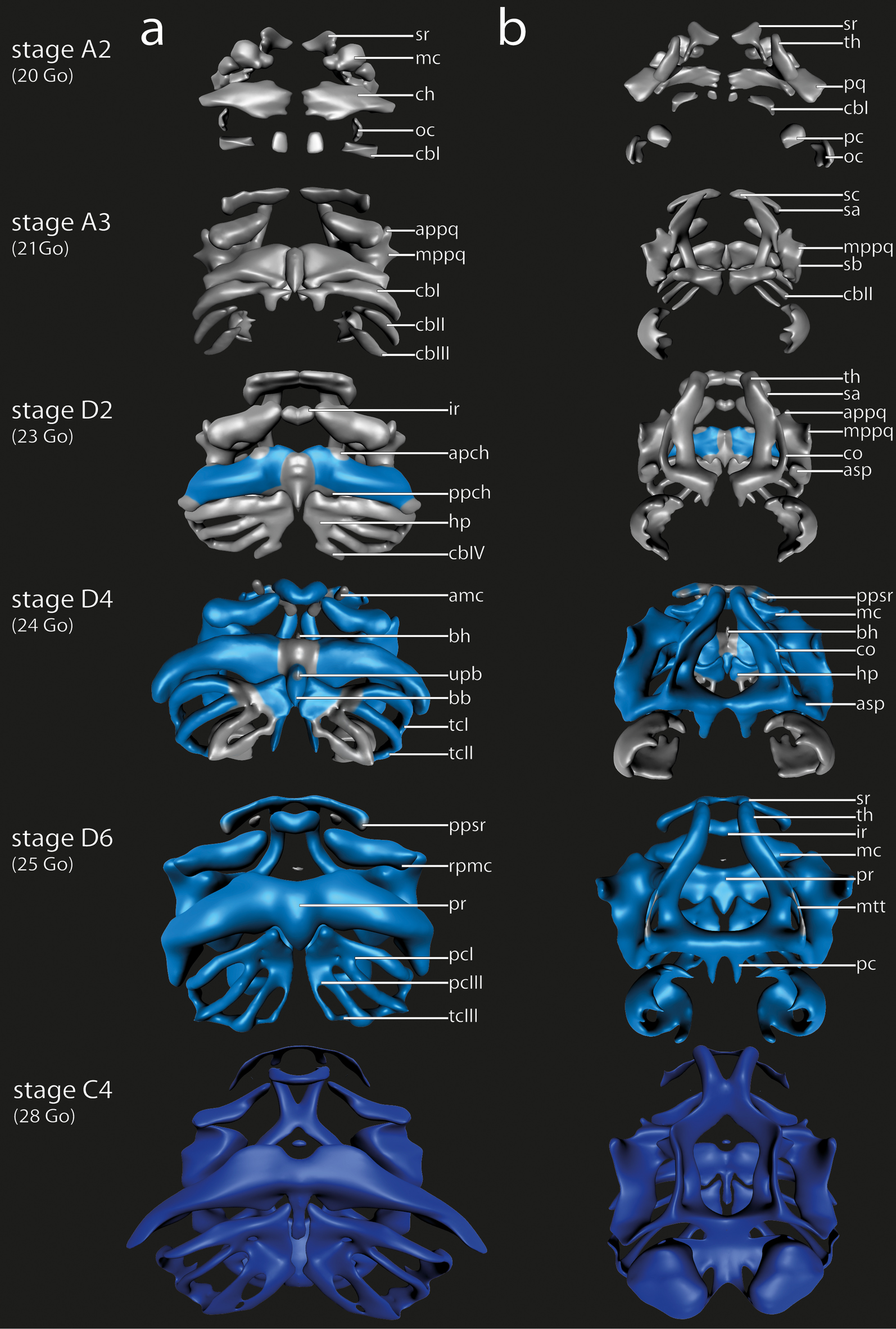 Fig. 3