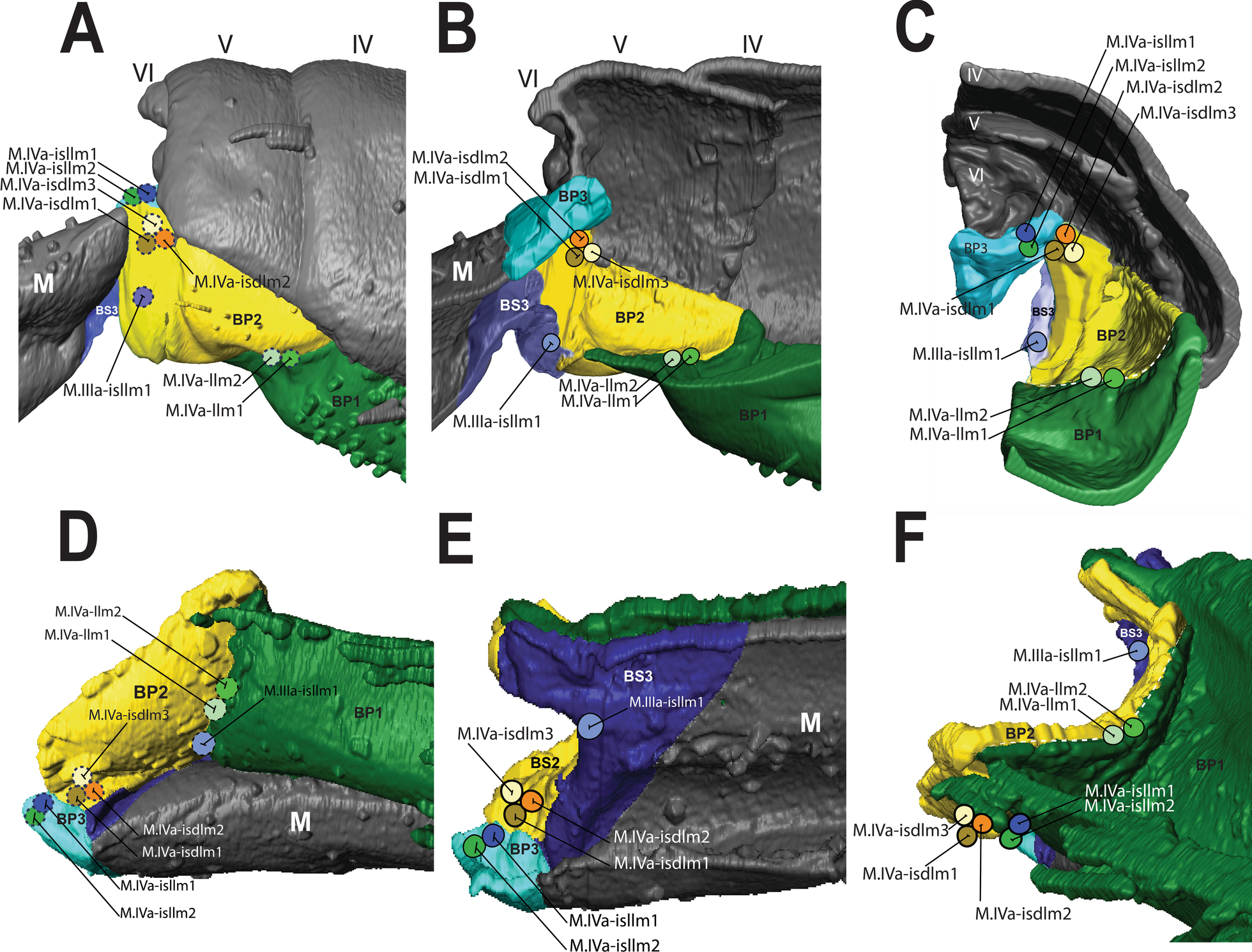 Fig. 11