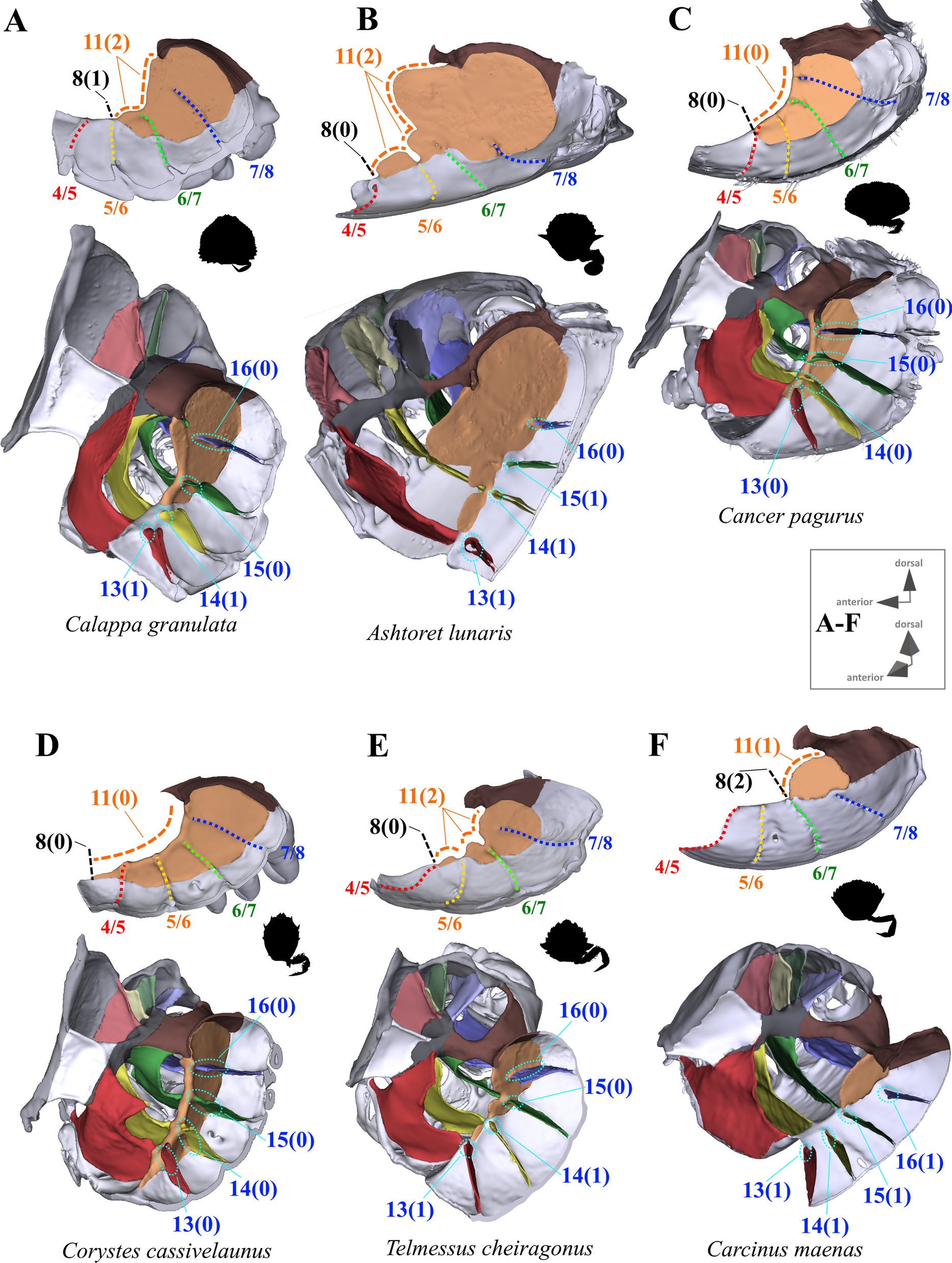 Fig. 10