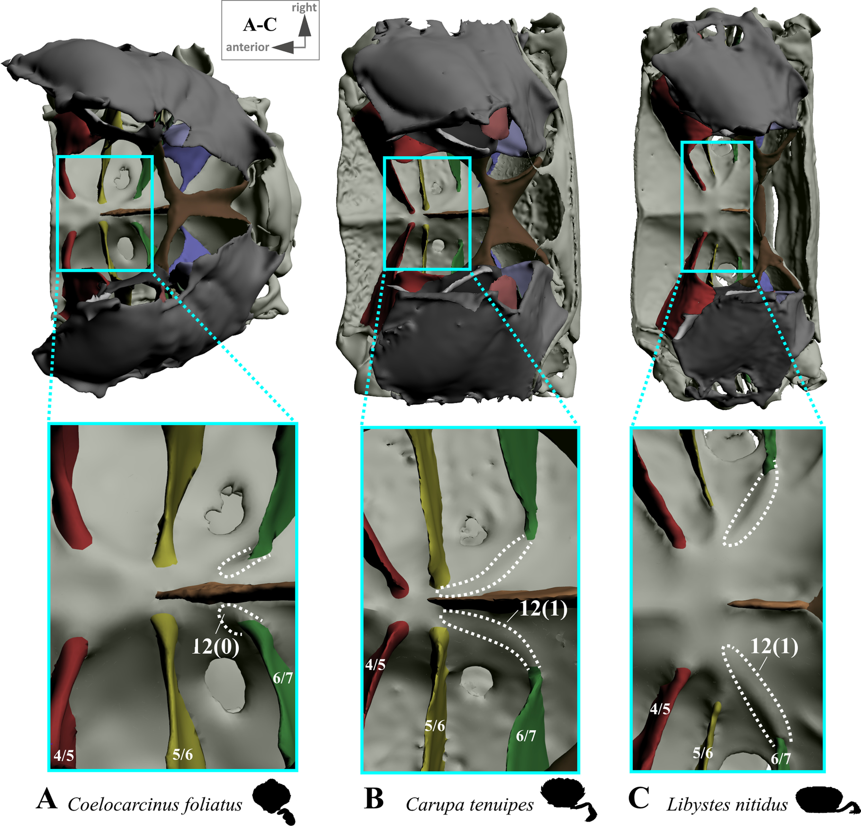 Fig. 12