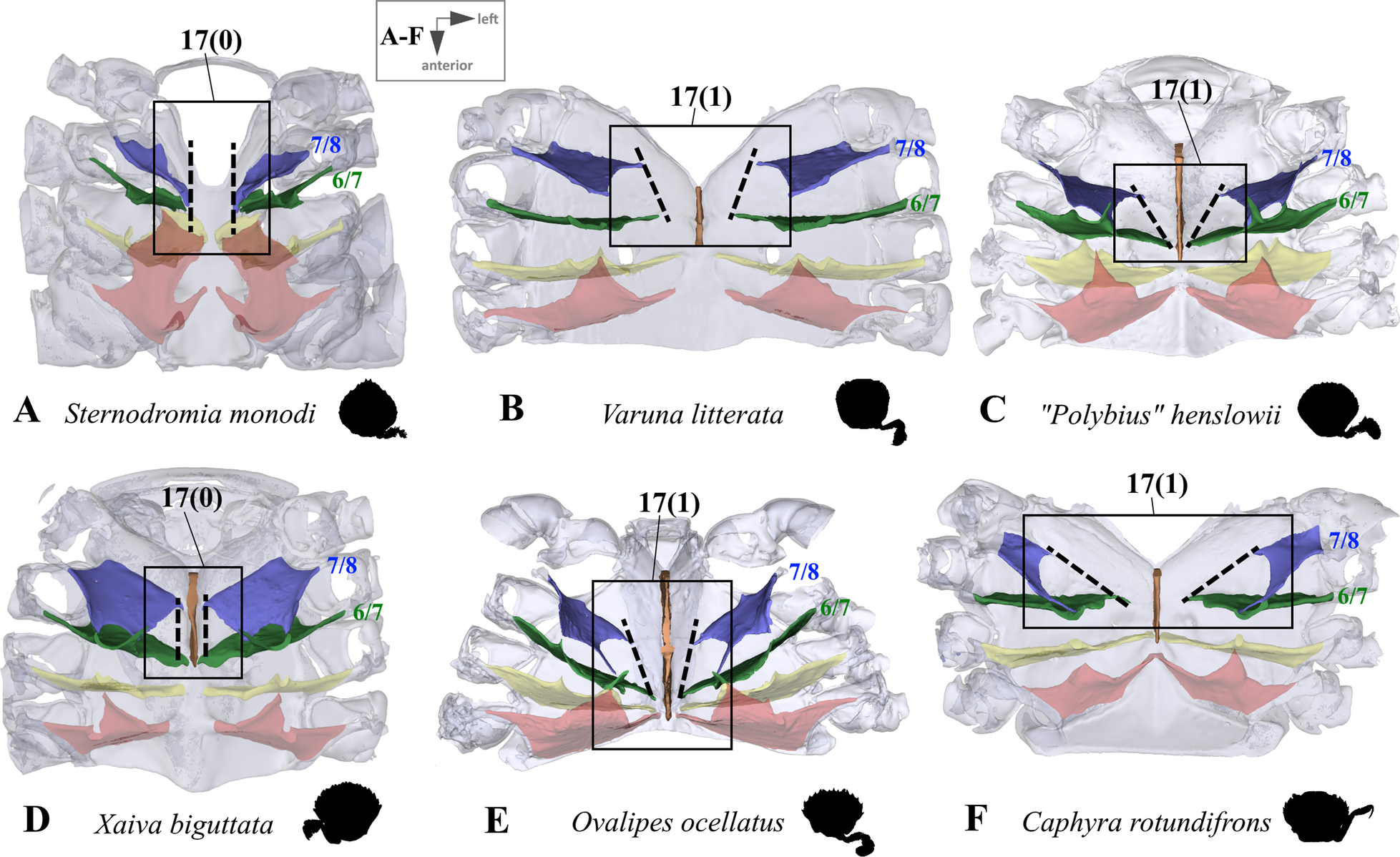 Fig. 13