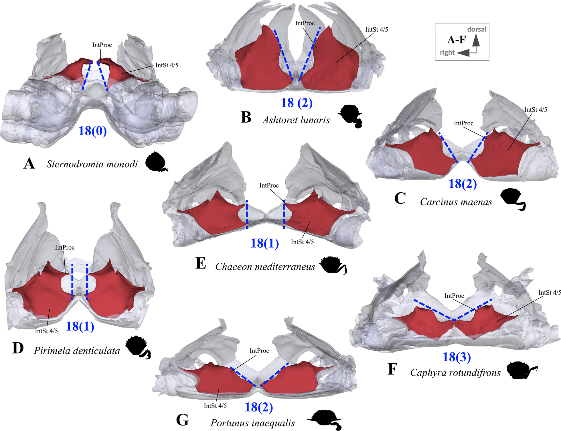 Fig. 14