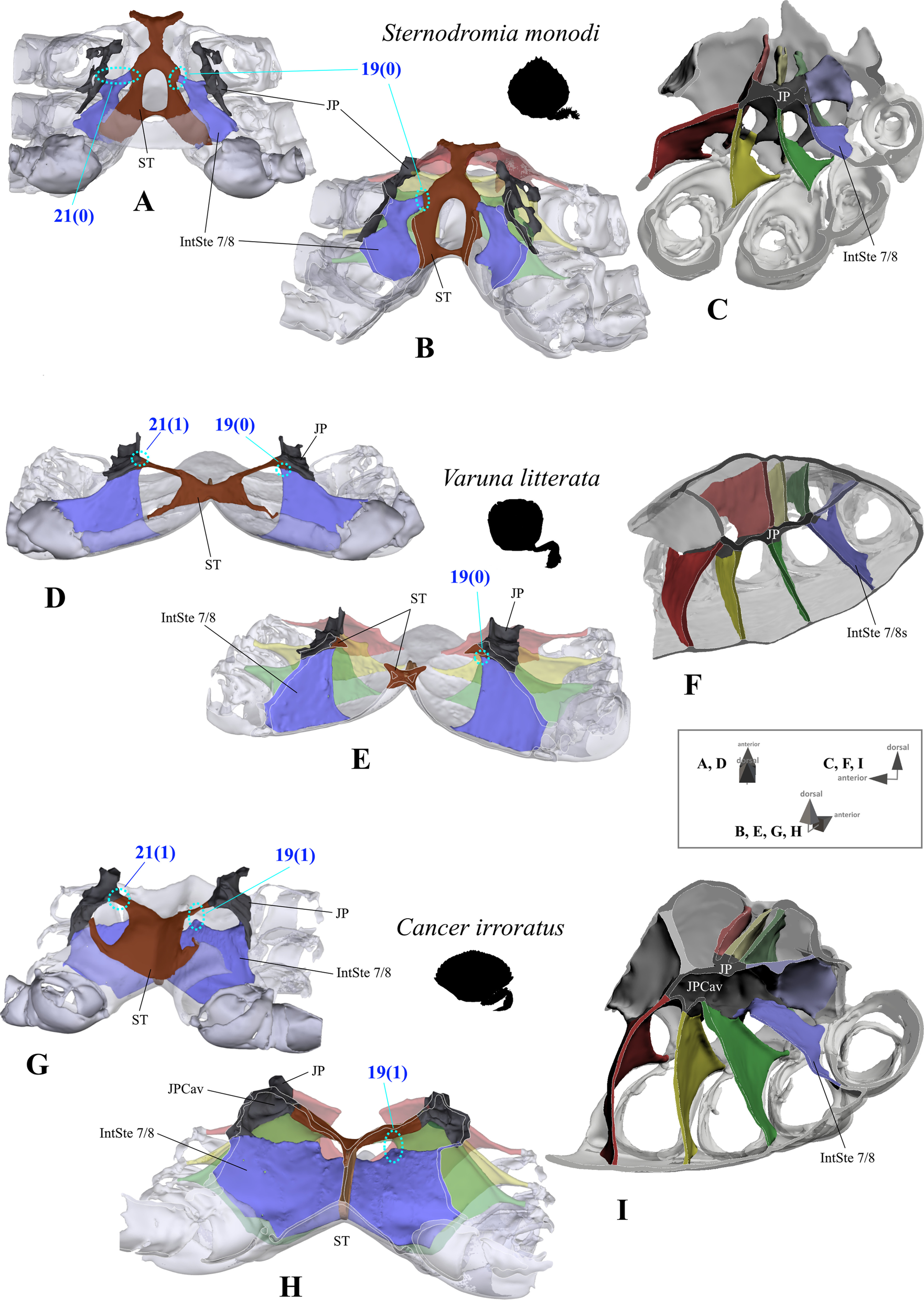 Fig. 15