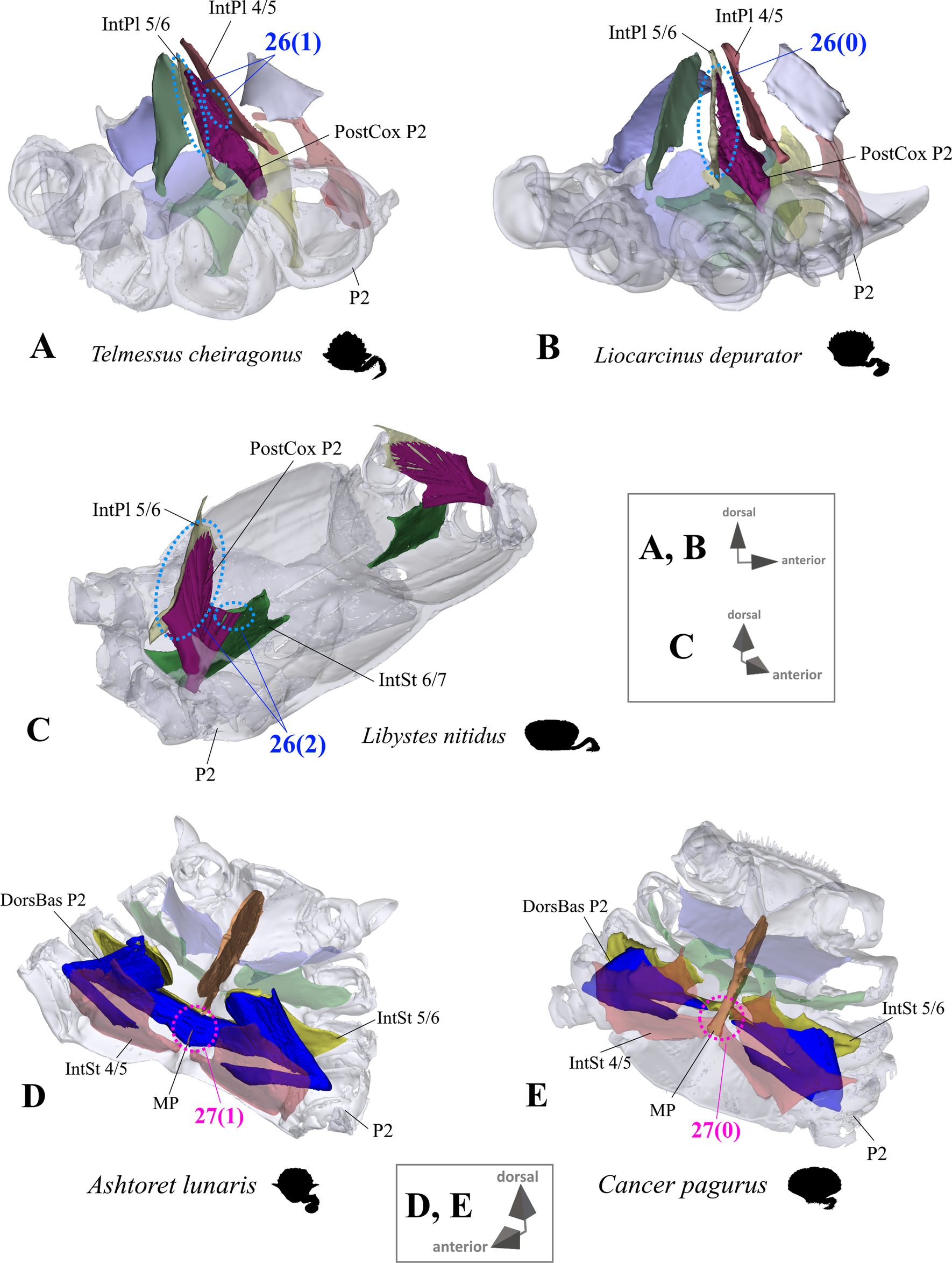 Fig. 20