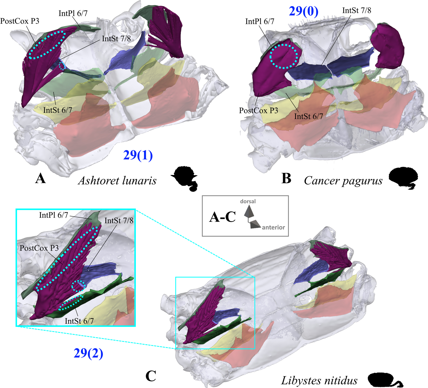 Fig. 22