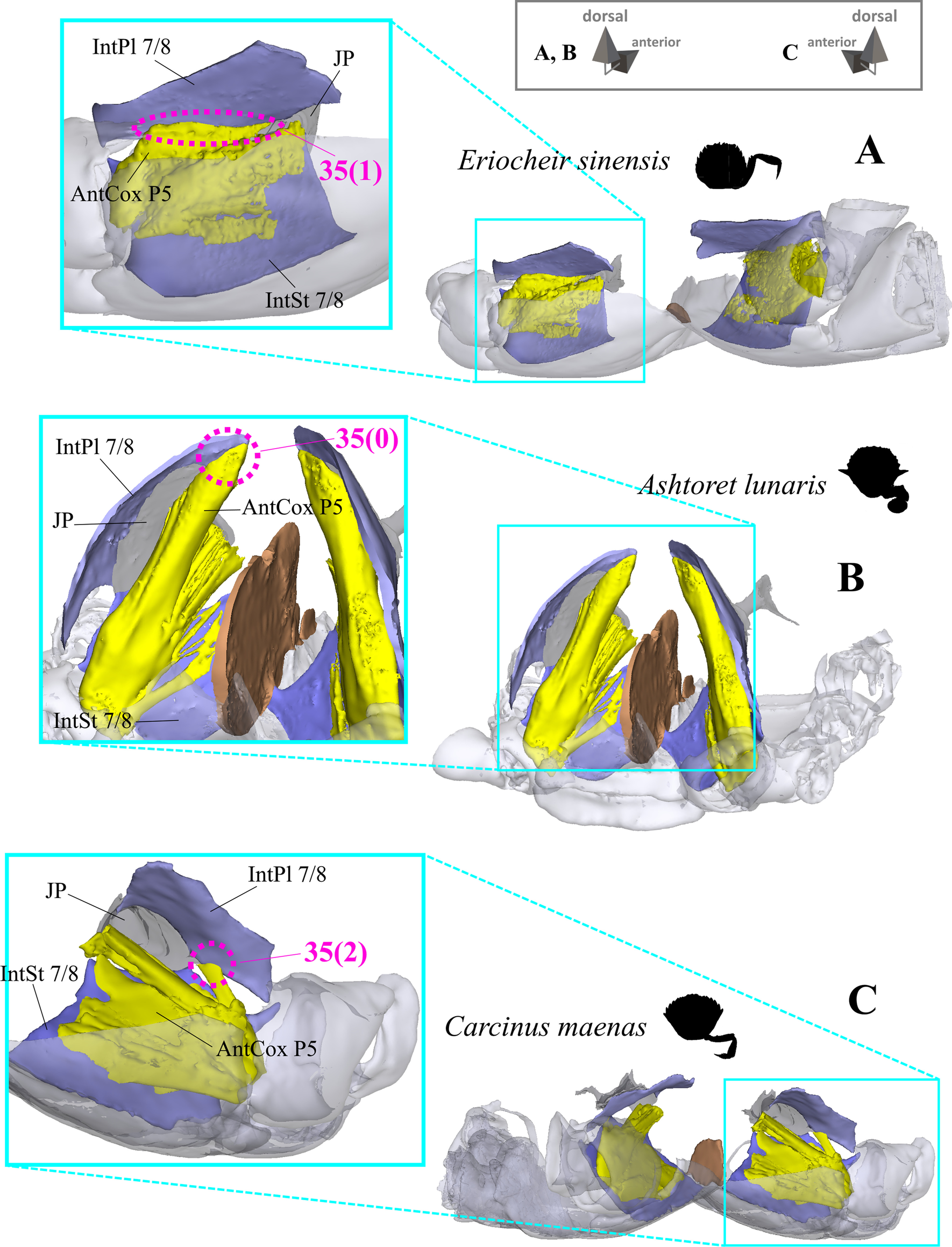 Fig. 26