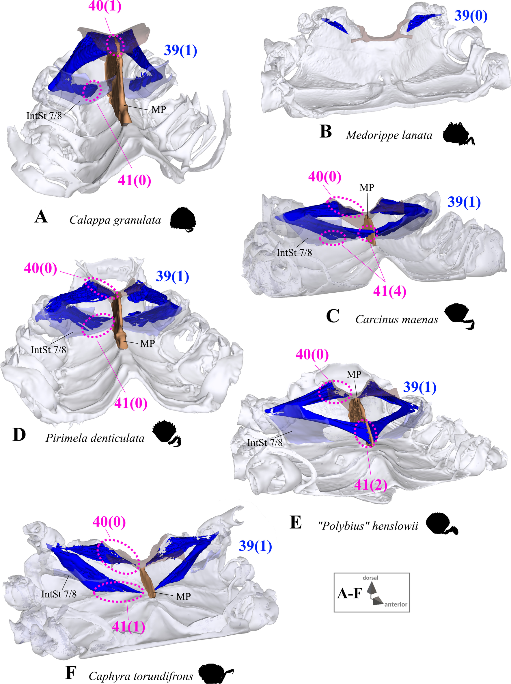 Fig. 29