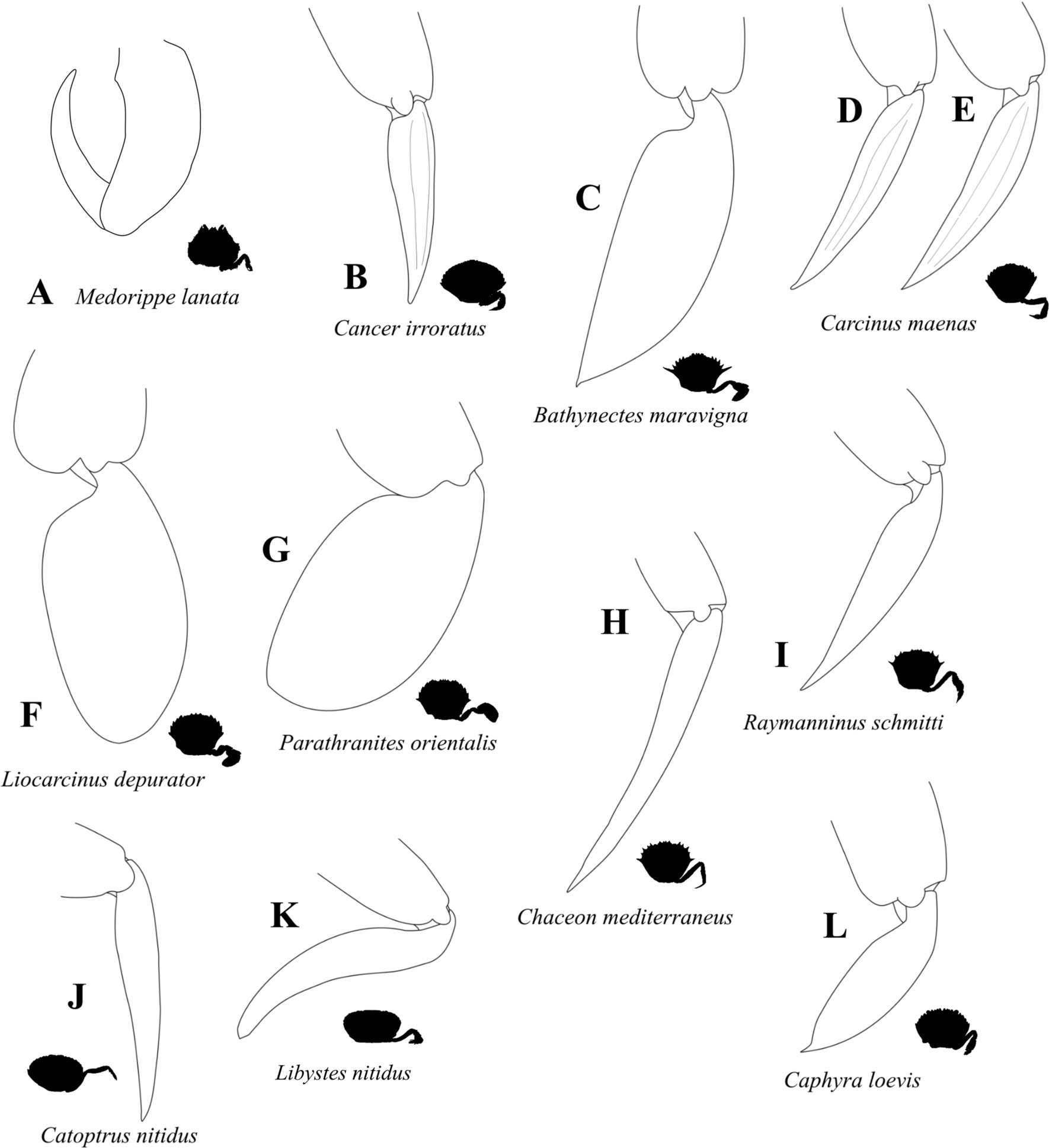 Fig. 31