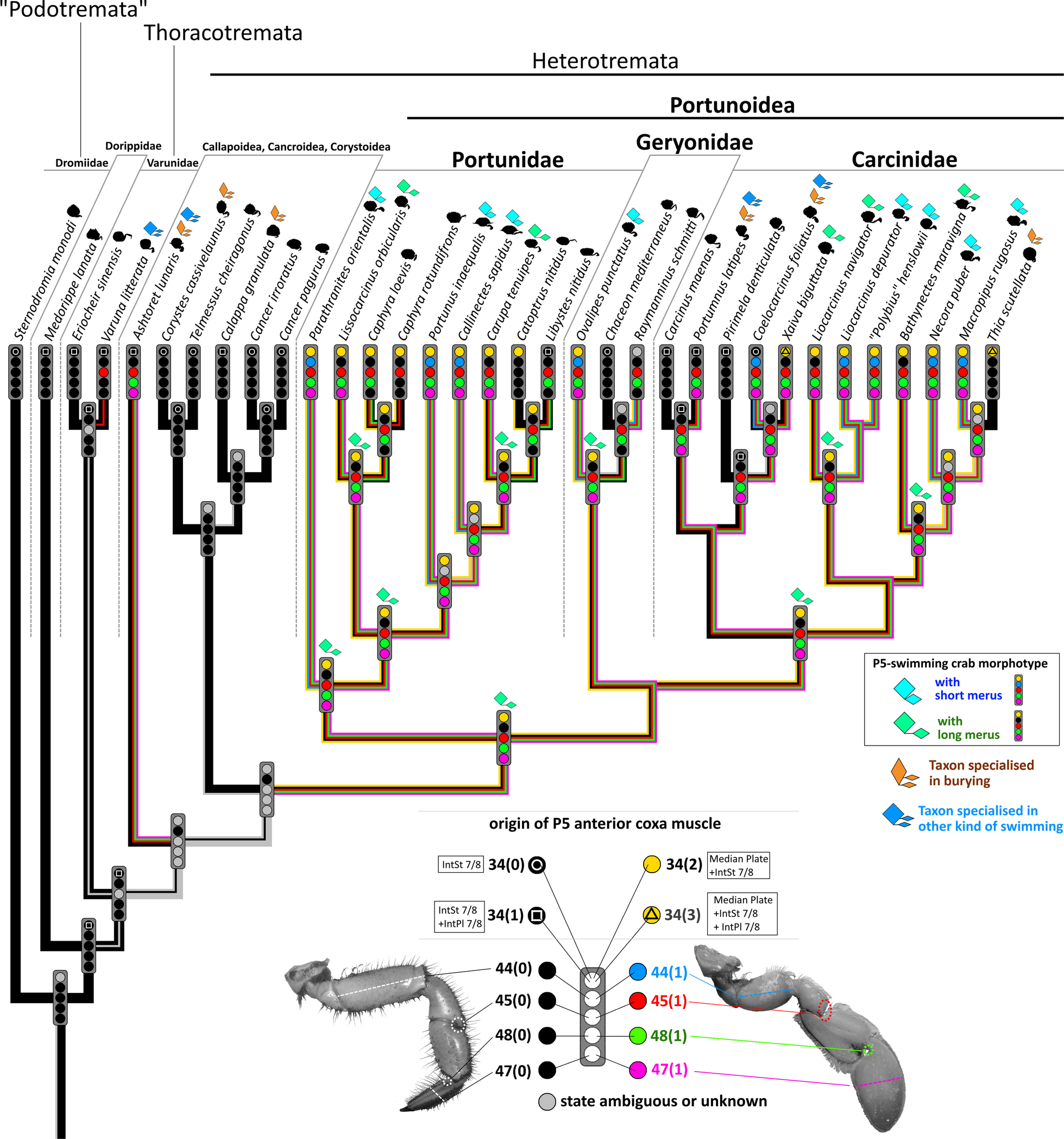 Fig. 35