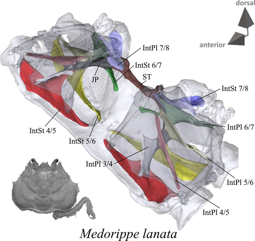 Fig. 3