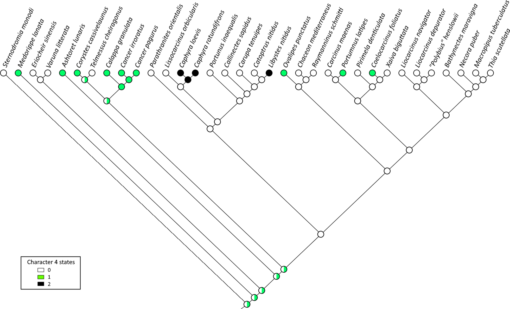 Fig. 42