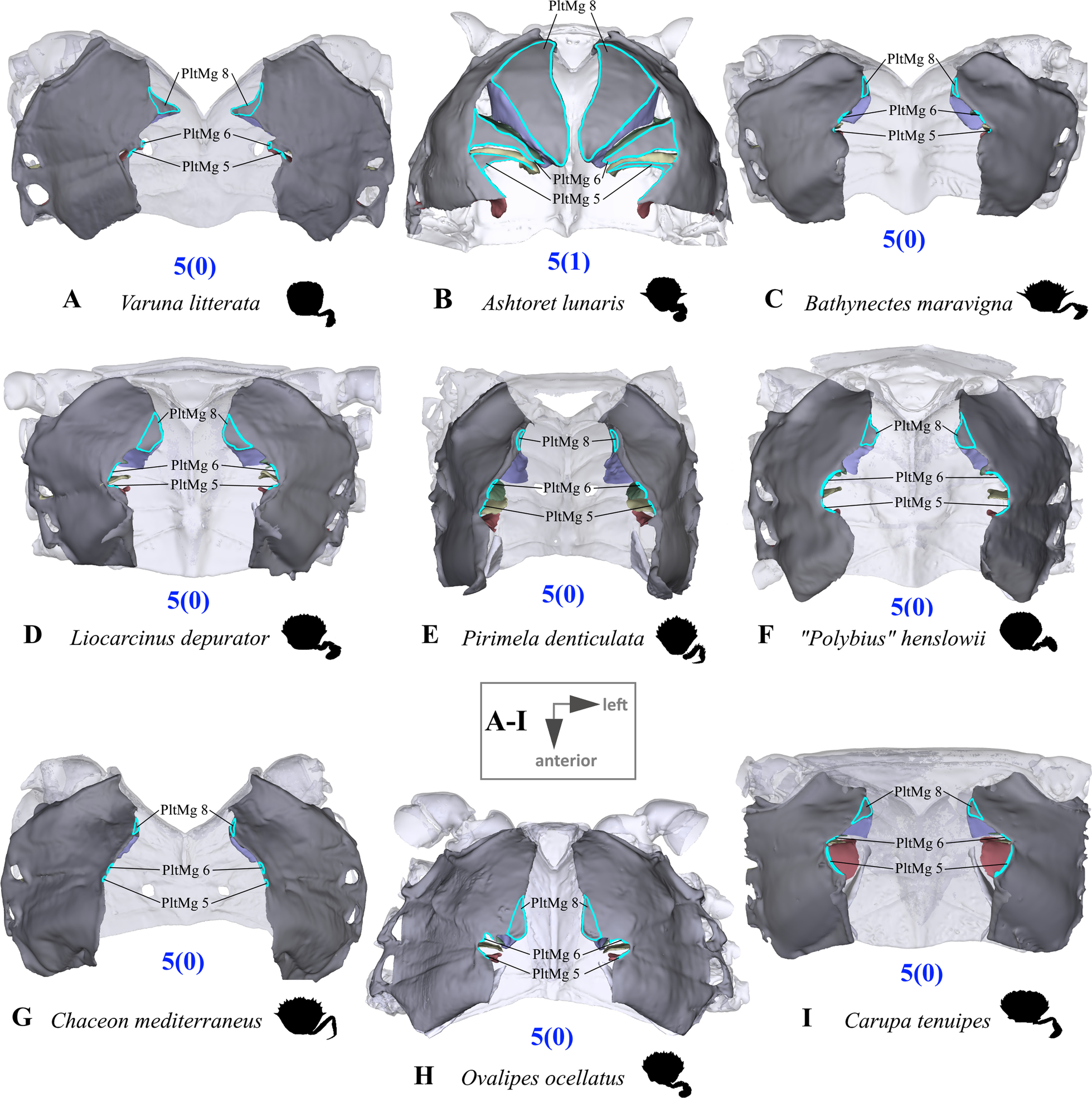 Fig. 9