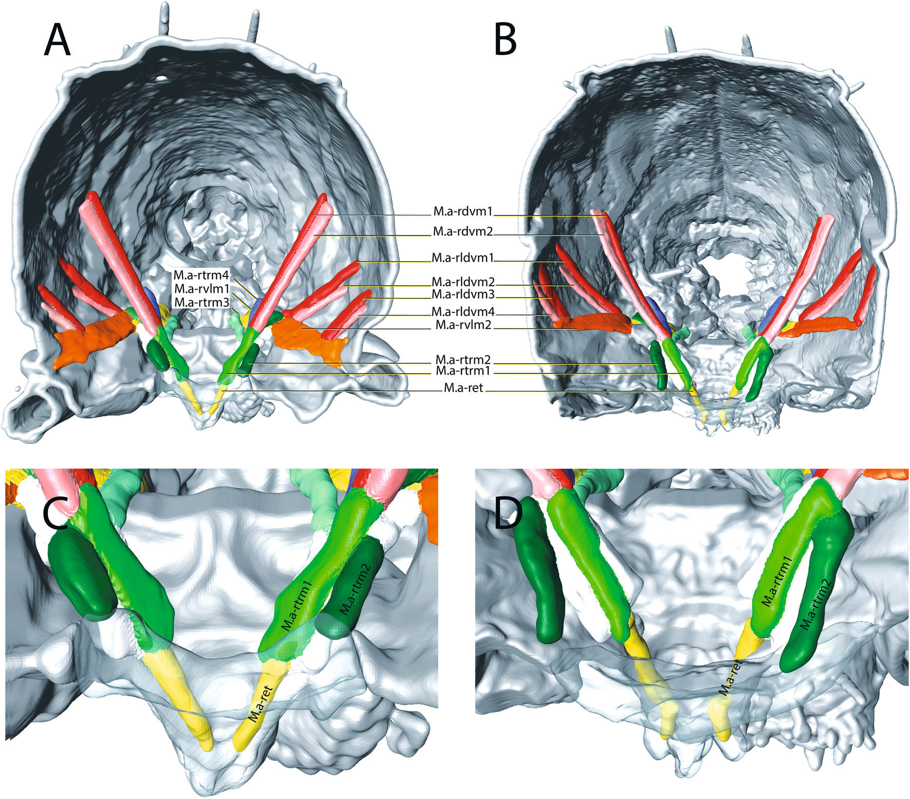 Fig. 9