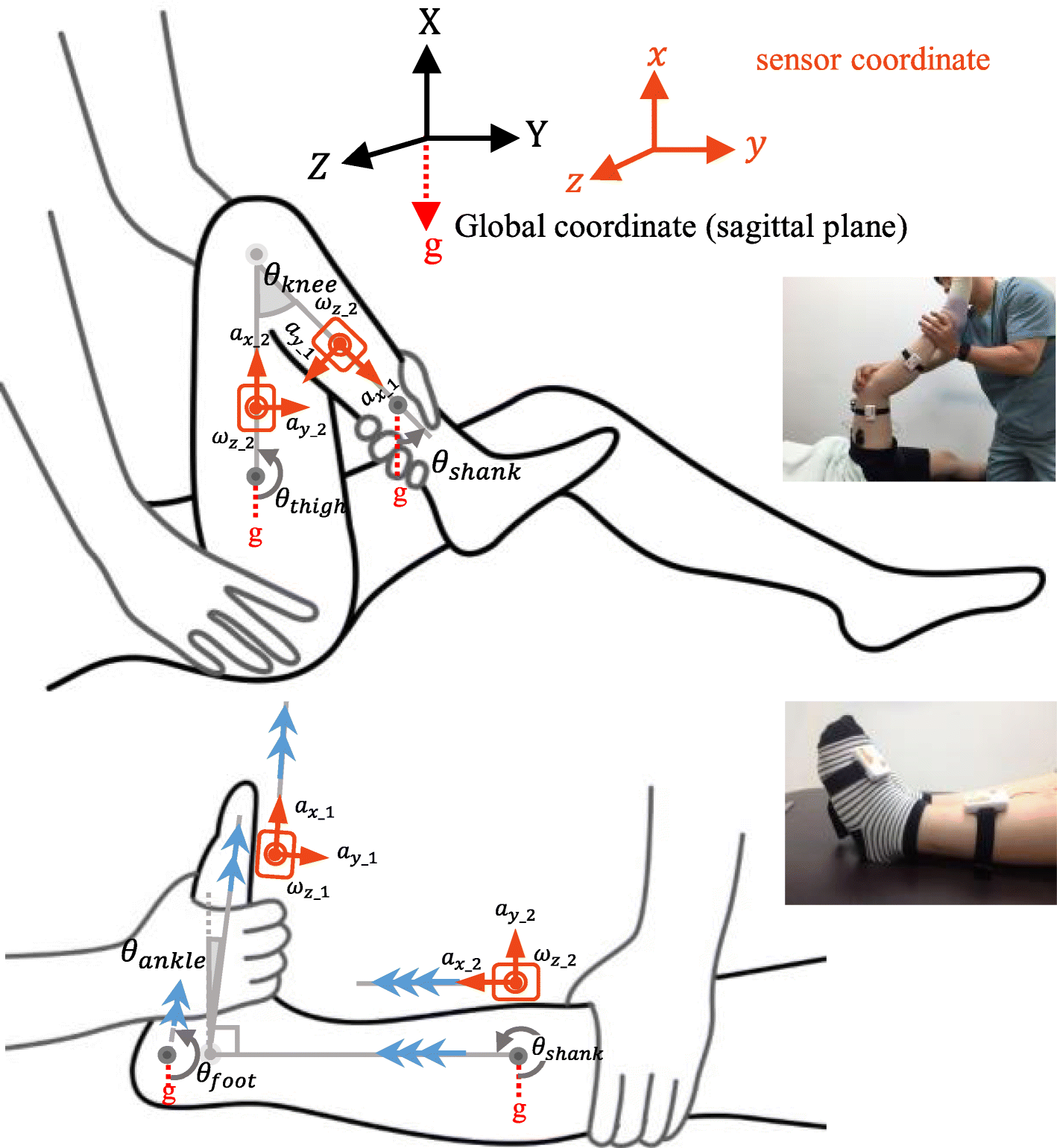 Fig. 2