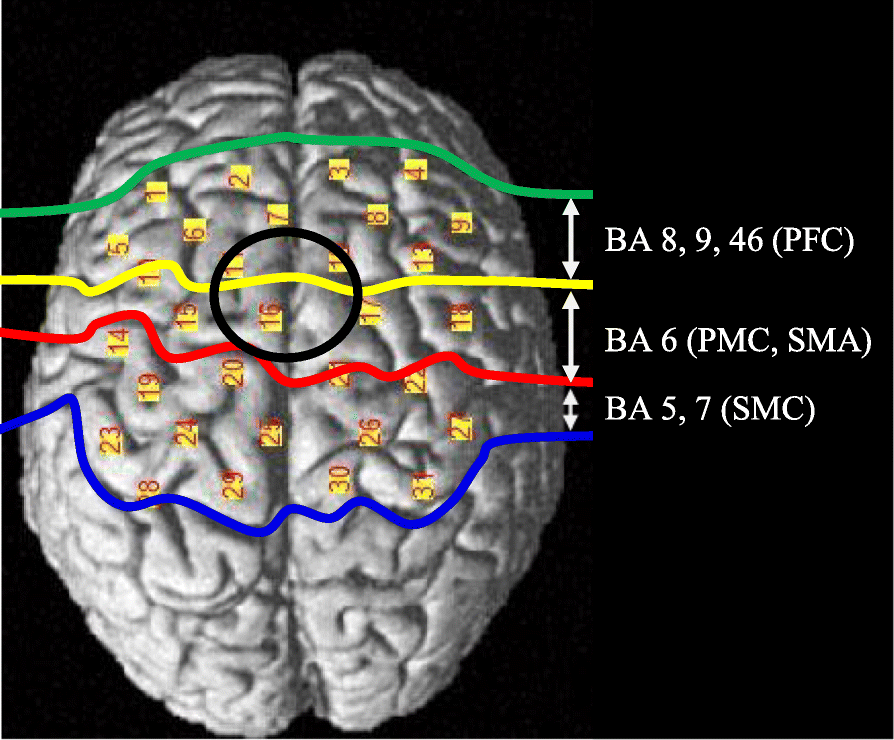 Fig. 6