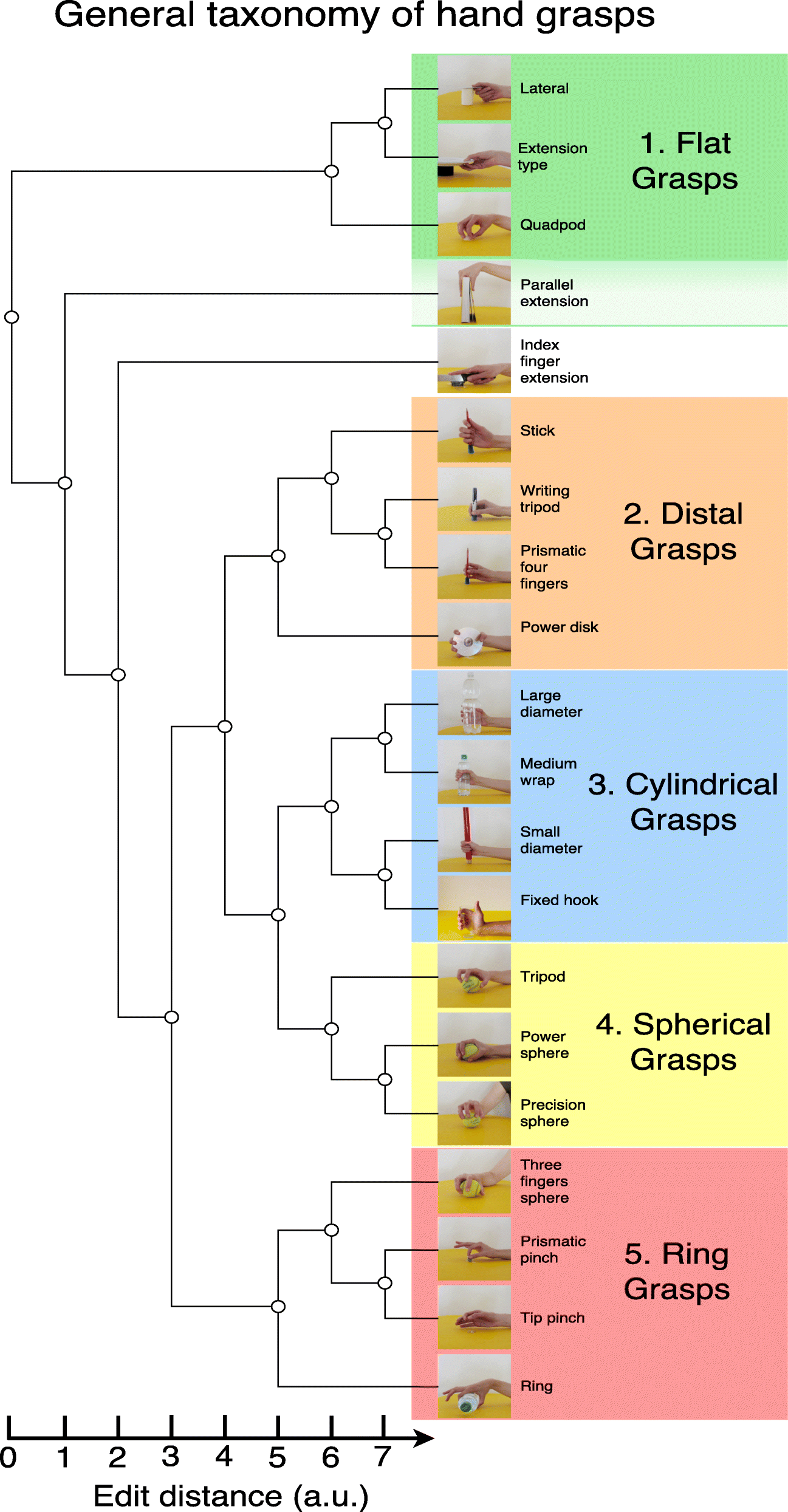 Fig. 5