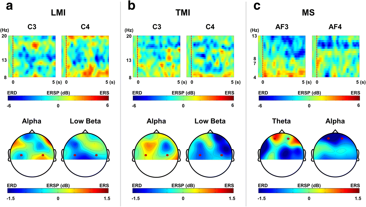 Fig. 4