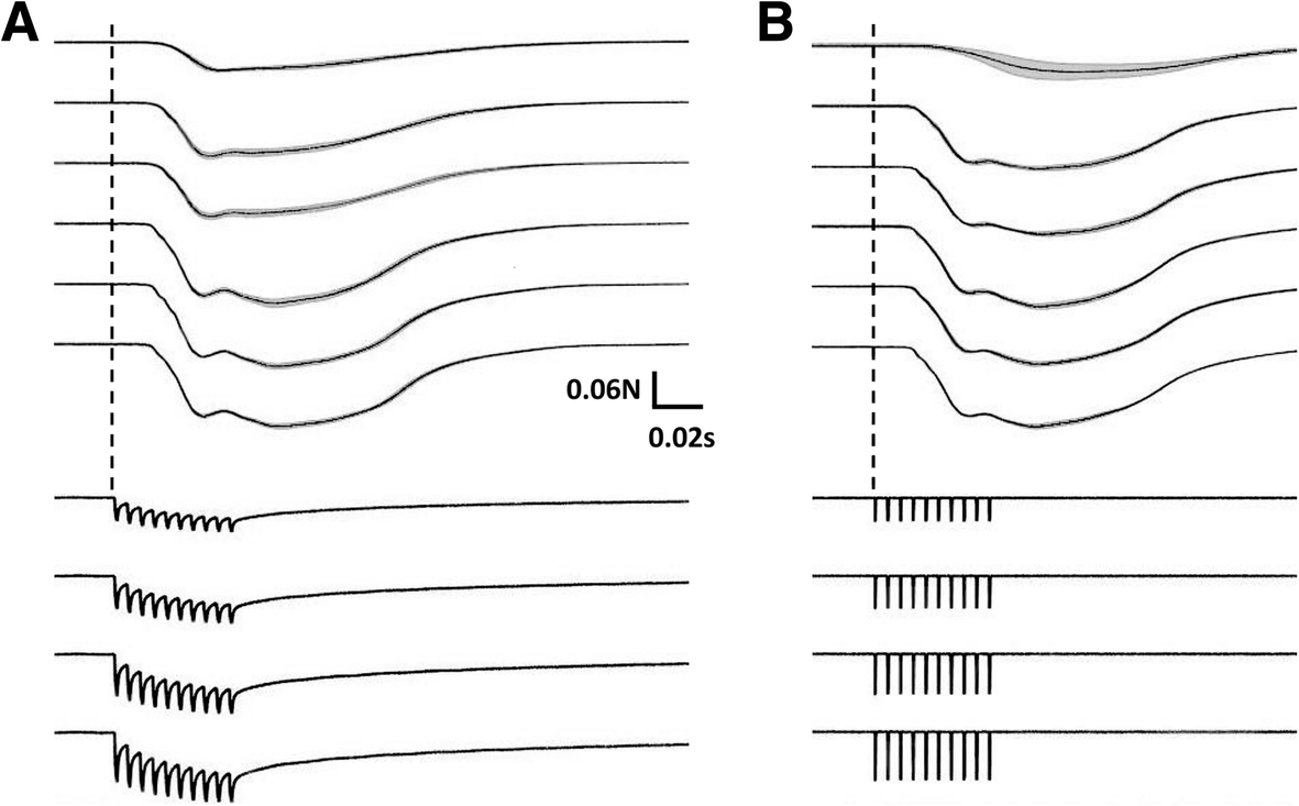 Fig. 12