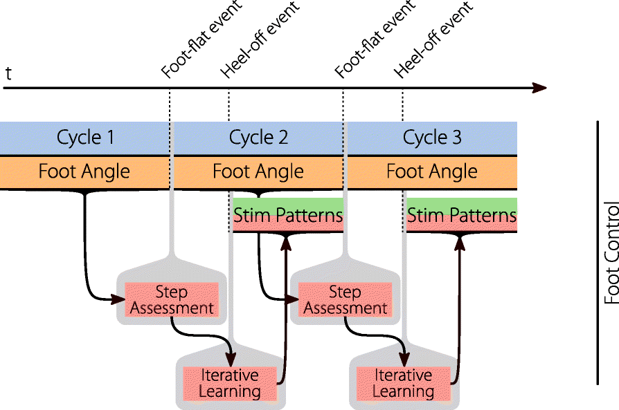 Fig. 8