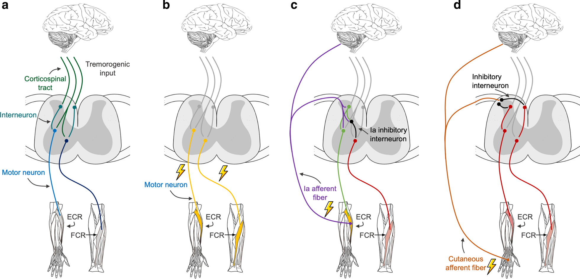 Fig. 4